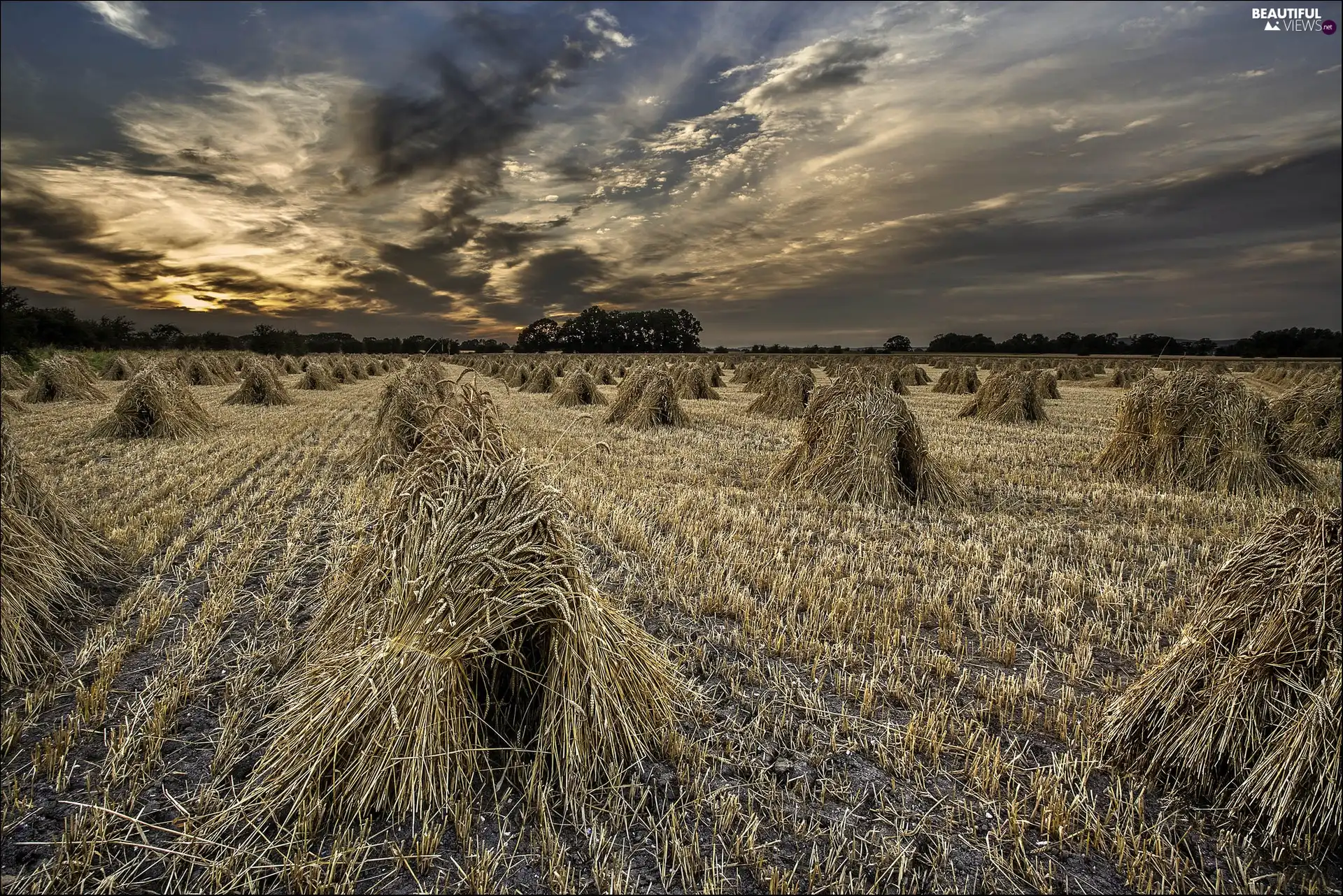 field, sheaves