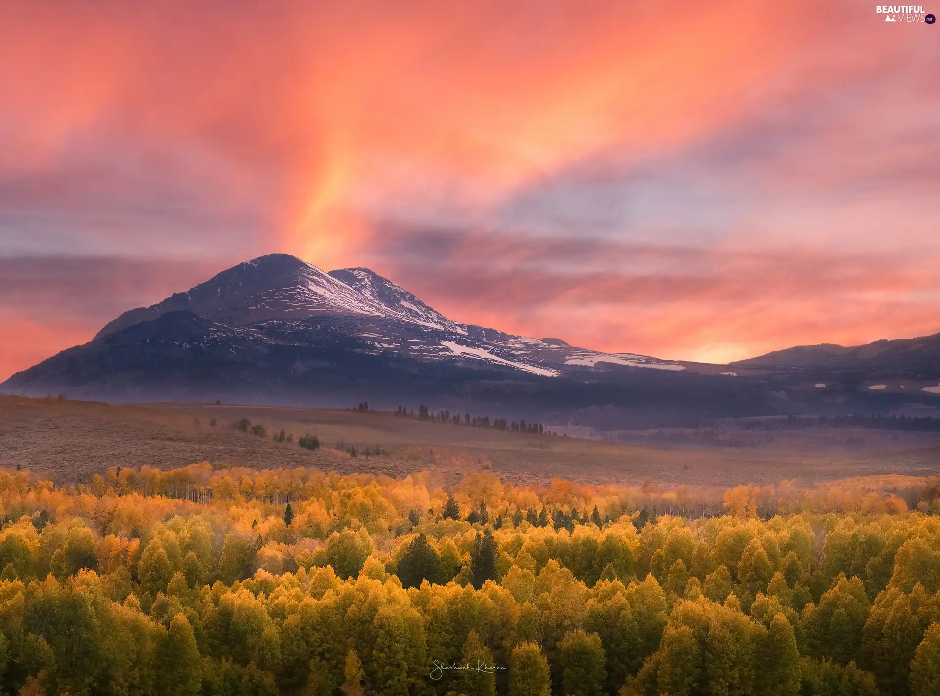 The United States, Conway Summit, forest, Sierra Nevada Mountains, viewes, Fog, Great Sunsets, State of California, Mono County, autumn, trees