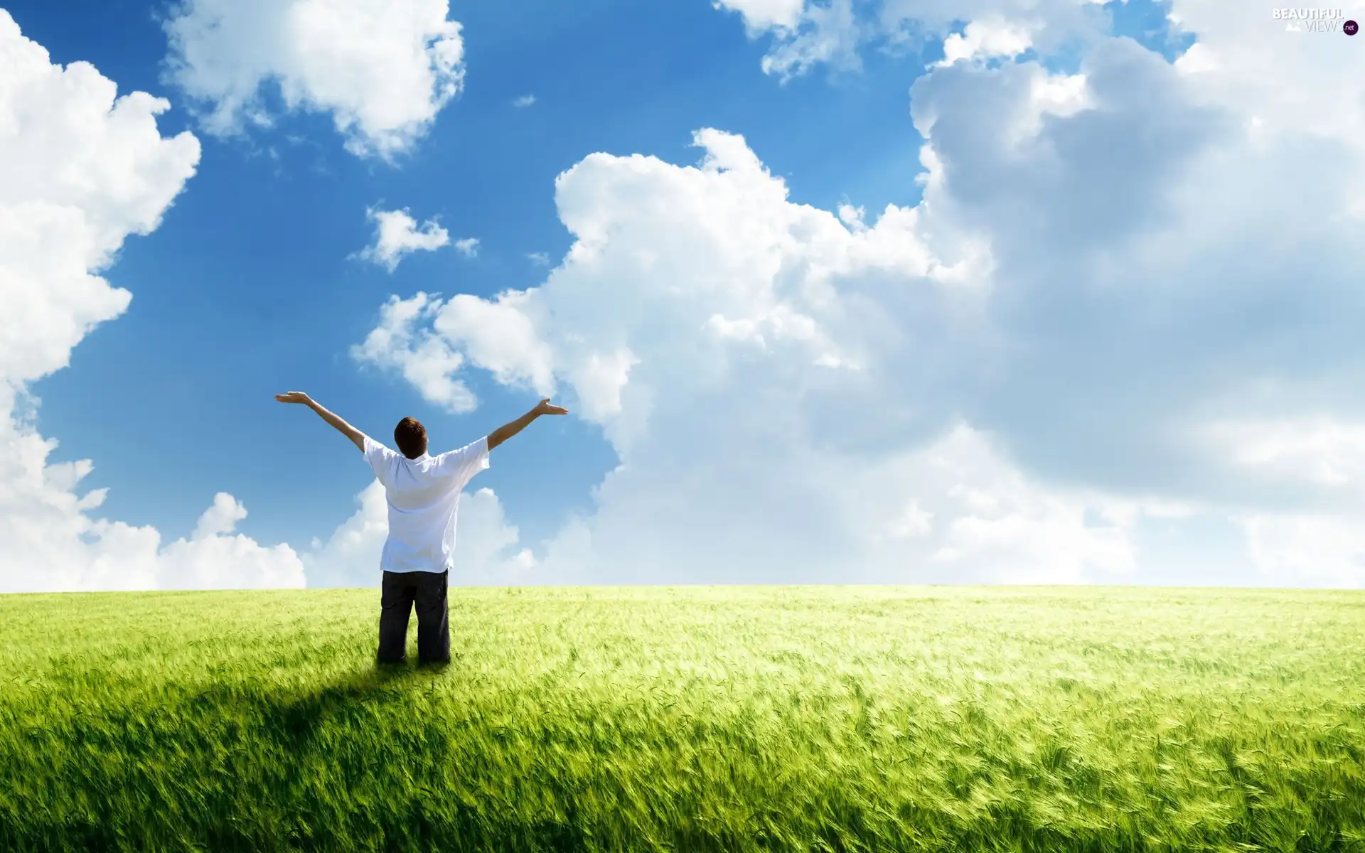 Sky, clouds, cereals, a man, Field