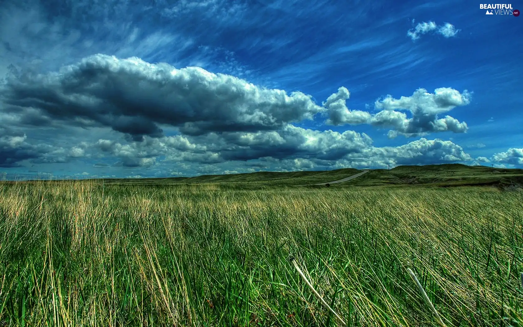 Sky, Meadow, clouds