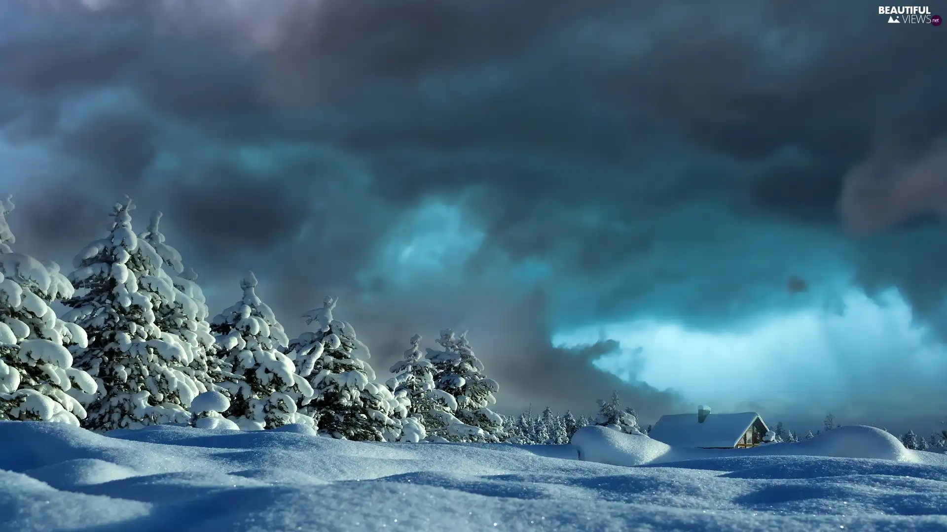 drifts, Spruces, clouds, house, dark, snow, winter, Sky