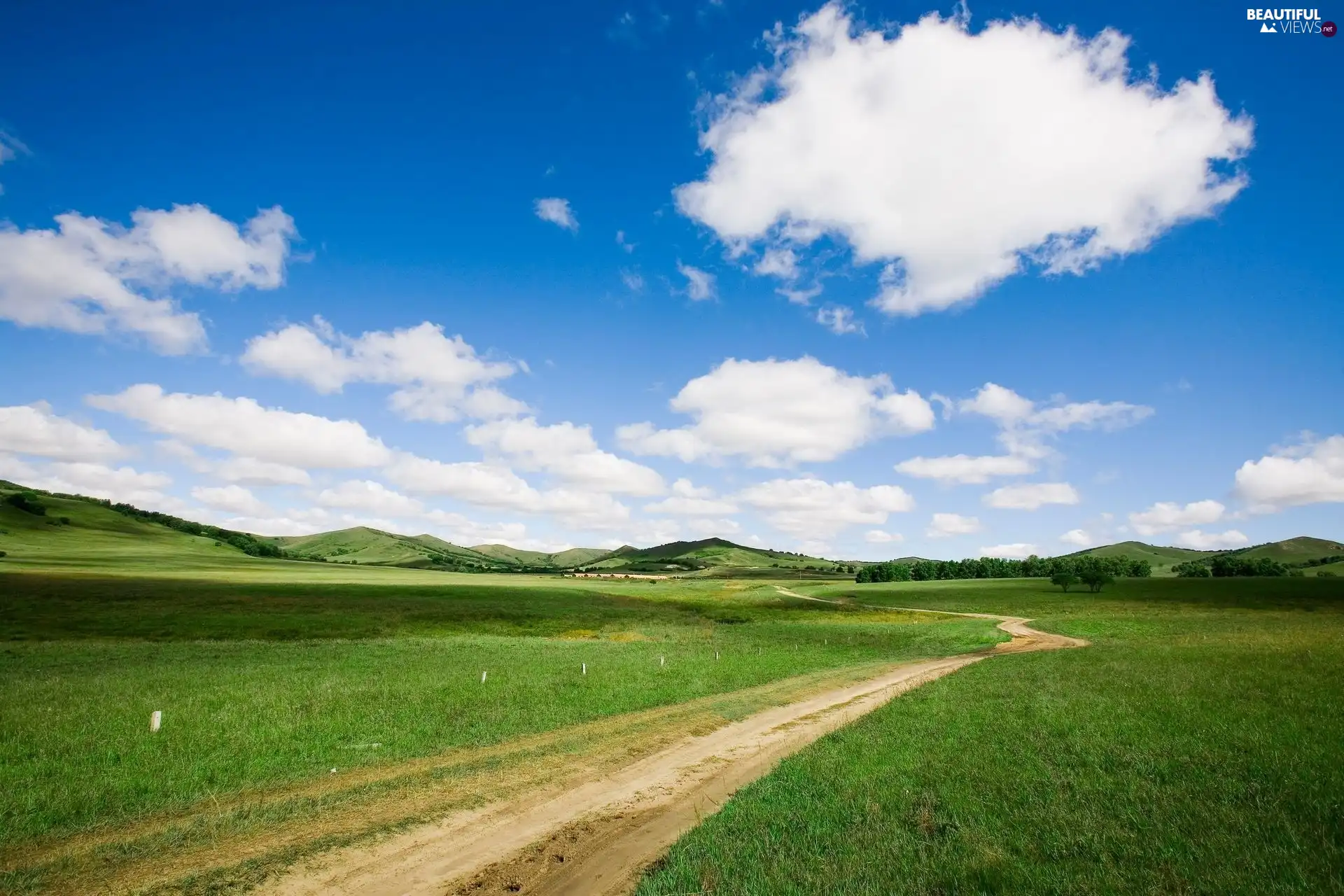 Field, Meadow, Sky, Way