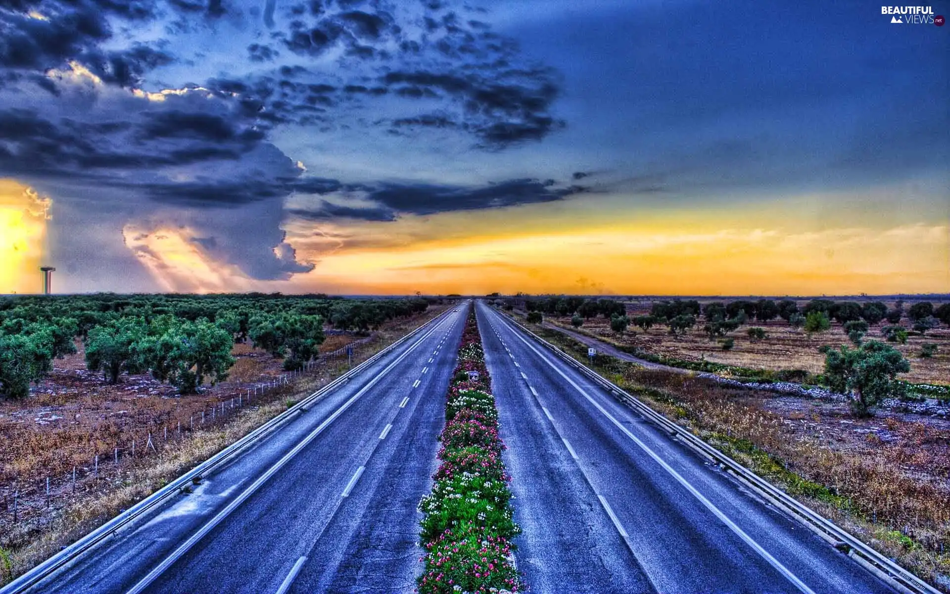 freeway, Clouds, Sky, Flowers