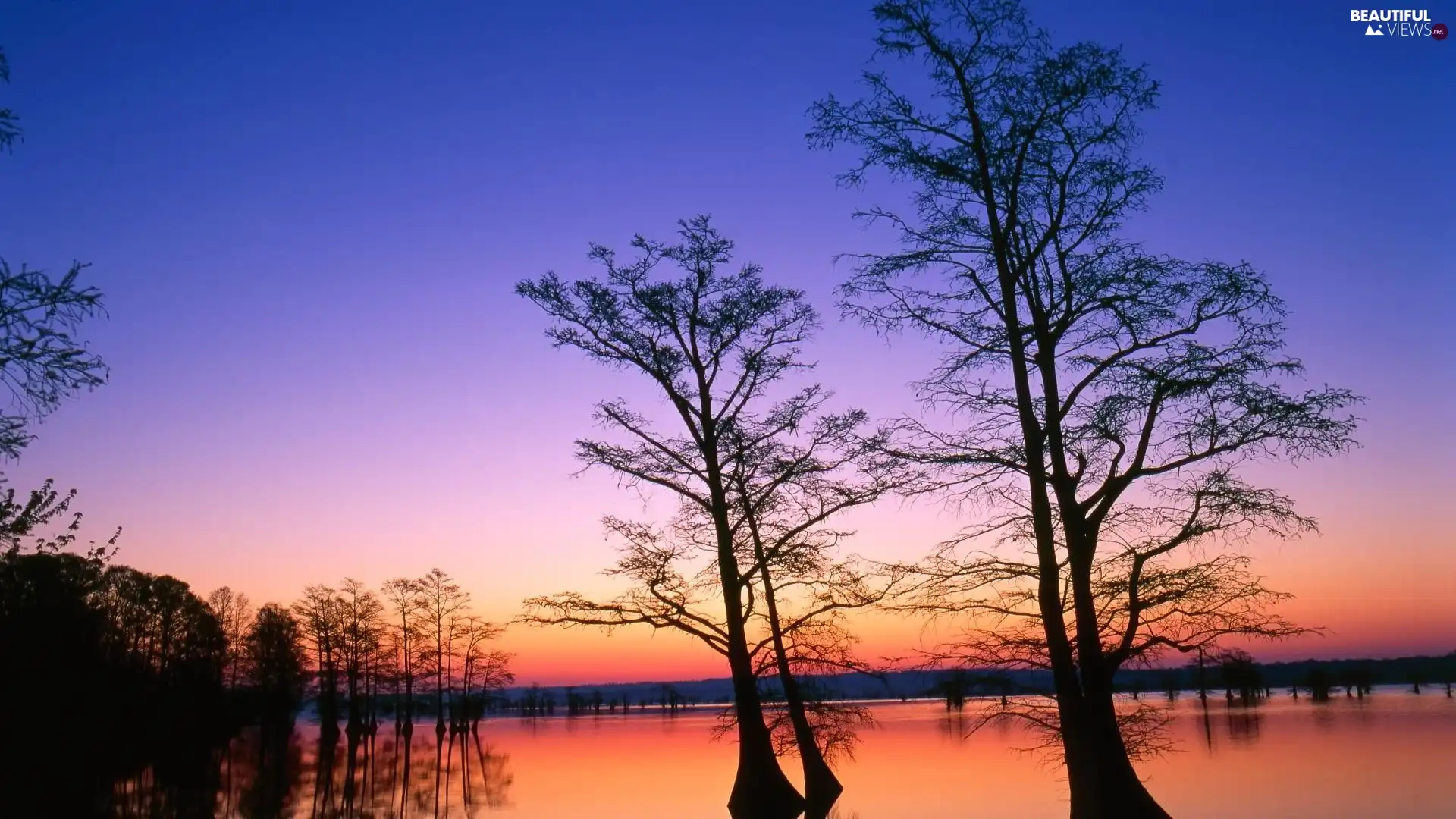 Sky, lake, viewes, water, trees