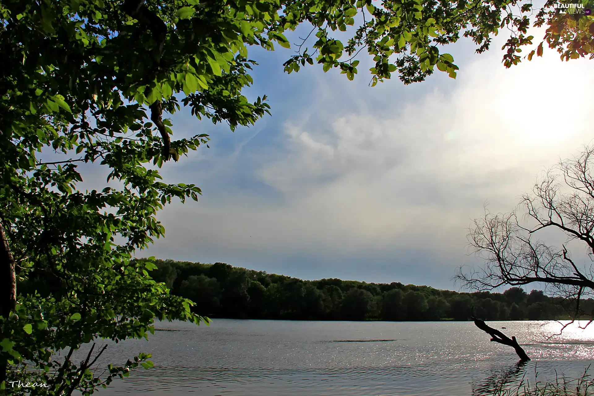 lake, viewes, Sky, trees