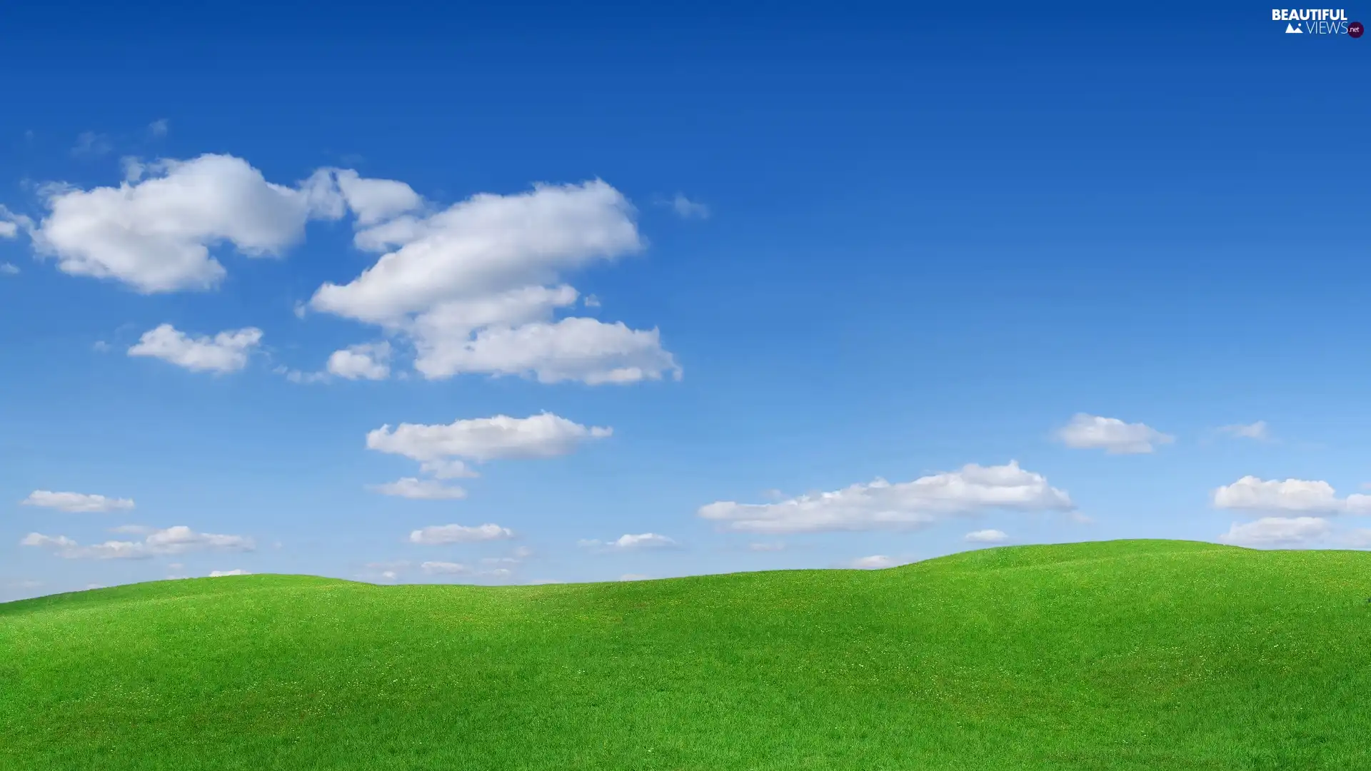 Meadow, Sky