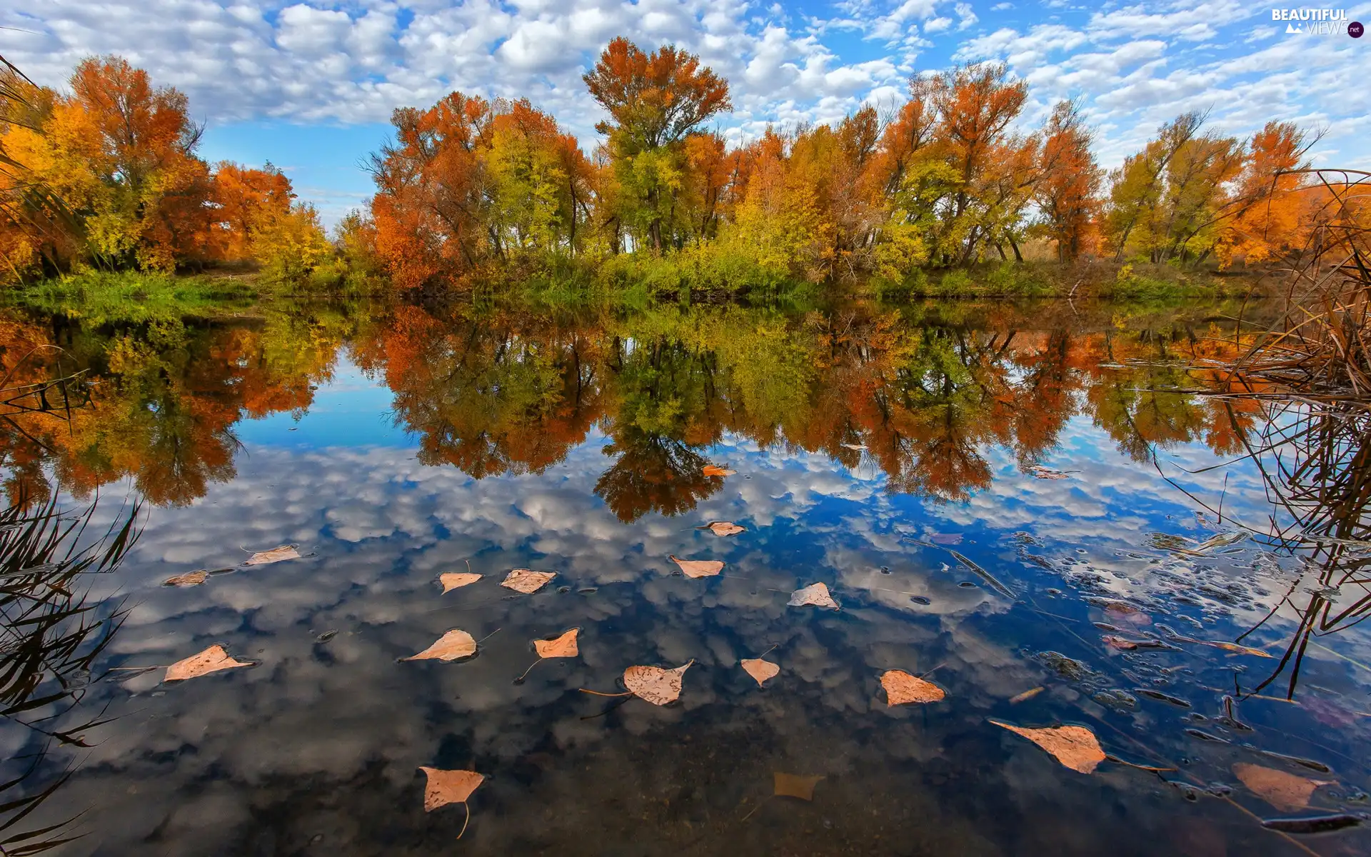 Sky, autumn, clouds, Leaf, viewes, reflection, Yellowed, trees, lake