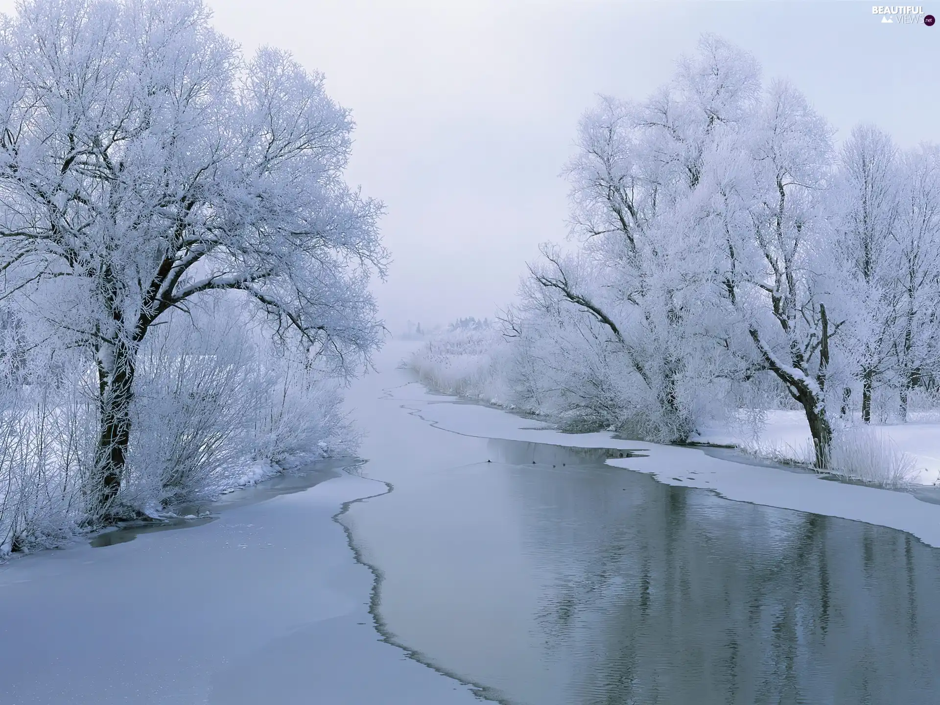 snow, Frost, trees, viewes, River