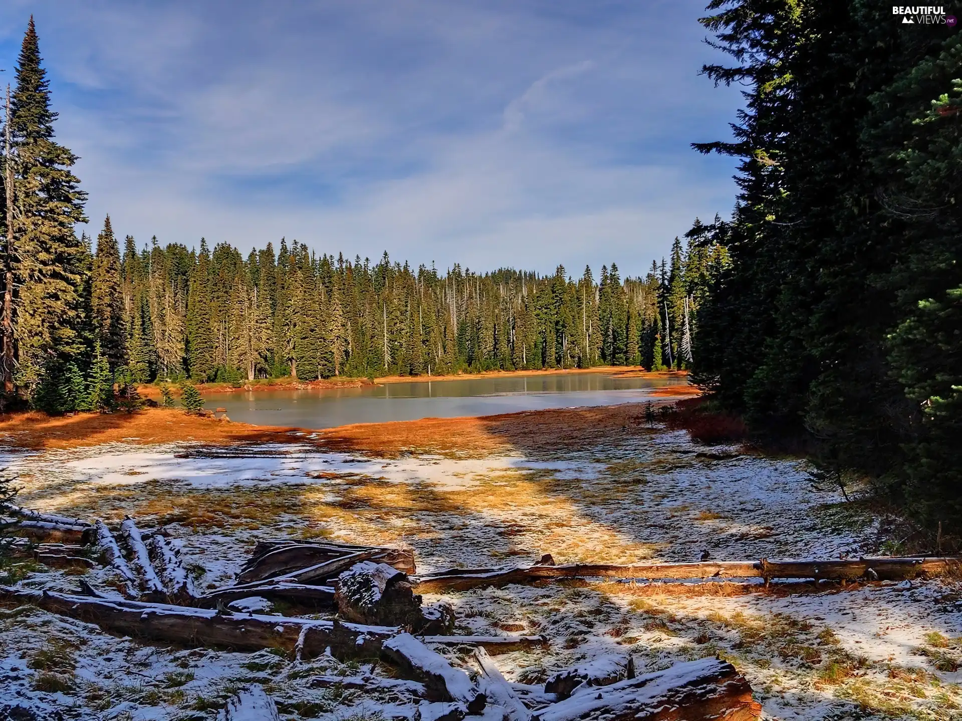 lake, first, snow, forest