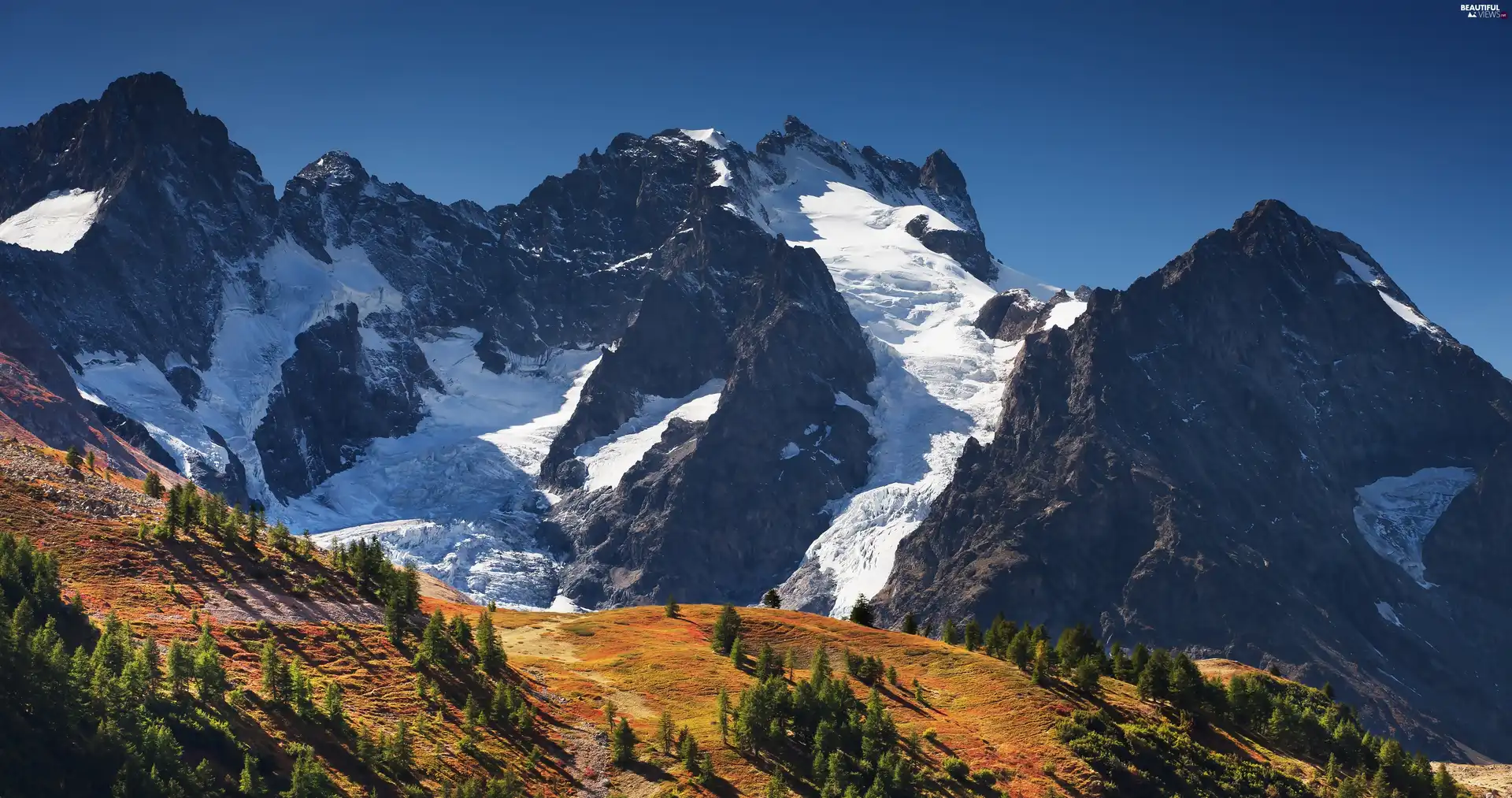 Mountains, trees, viewes, Snow-capped Peaks