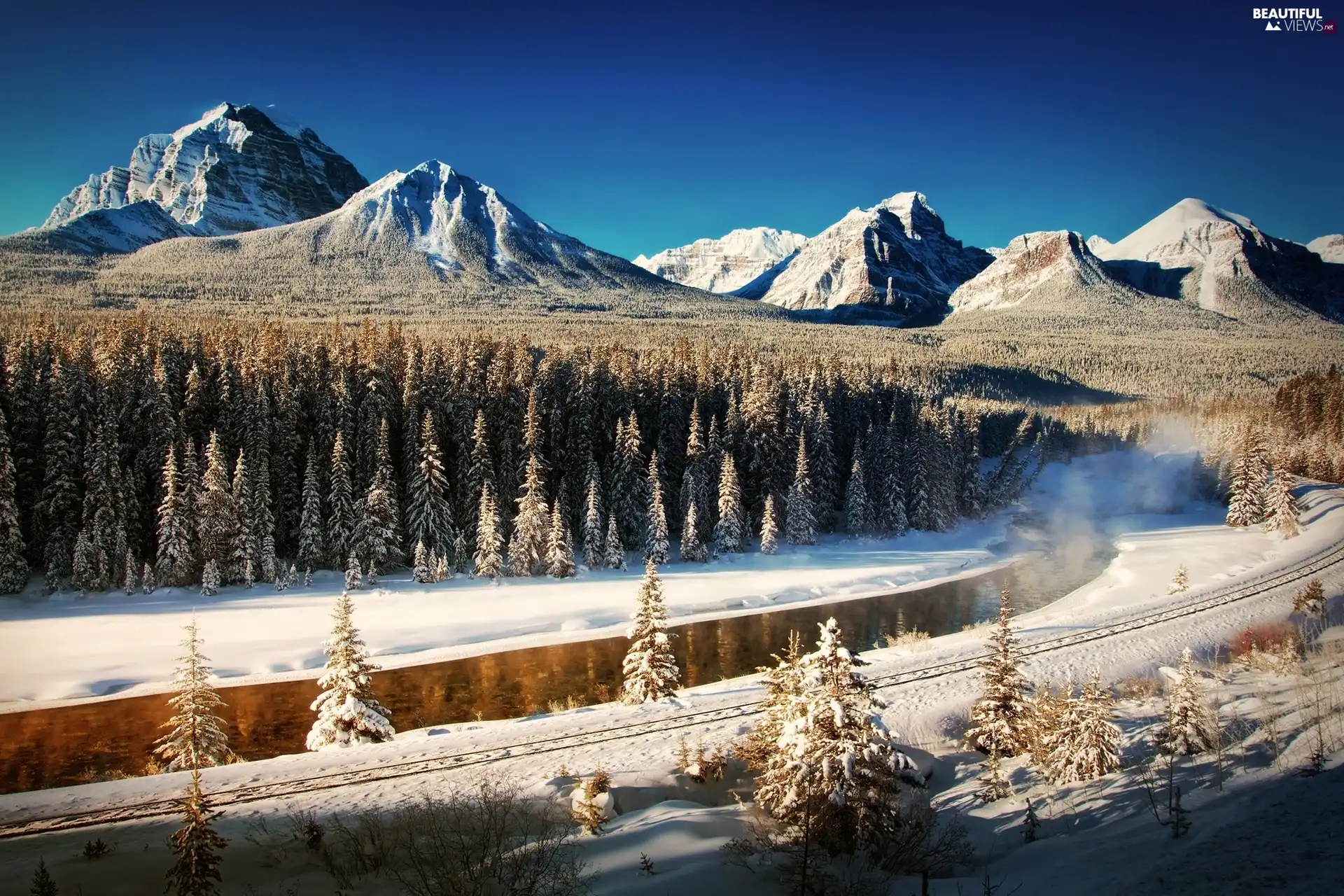 winter, forest, snow, Mountains