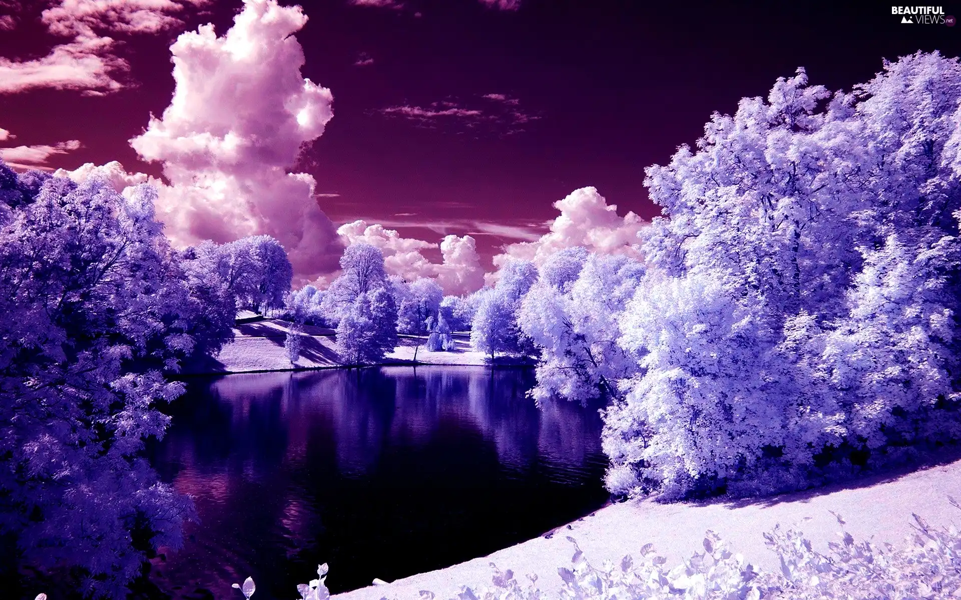 viewes, clouds, snow, winter, lake, trees