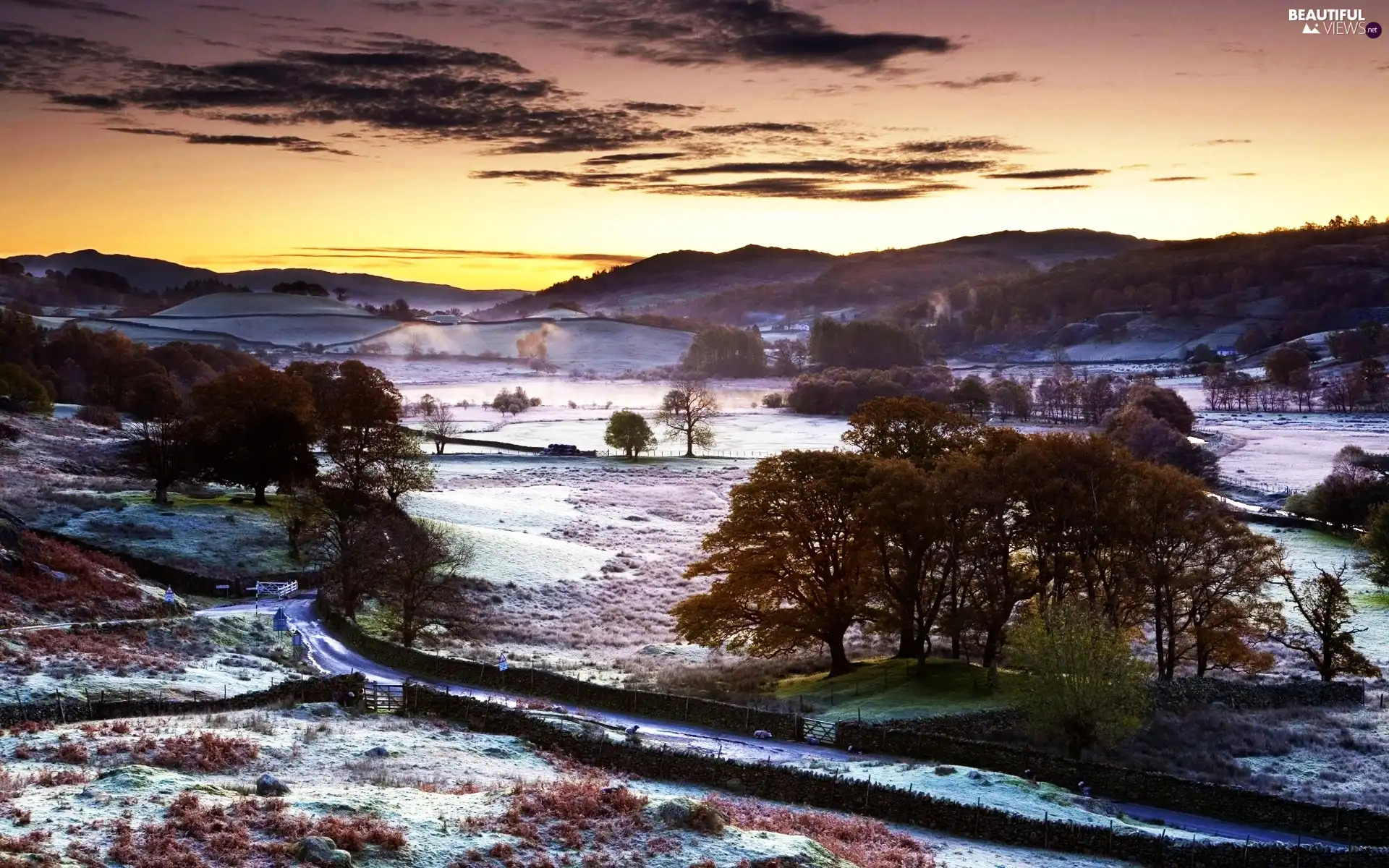 winter, viewes, snow, trees