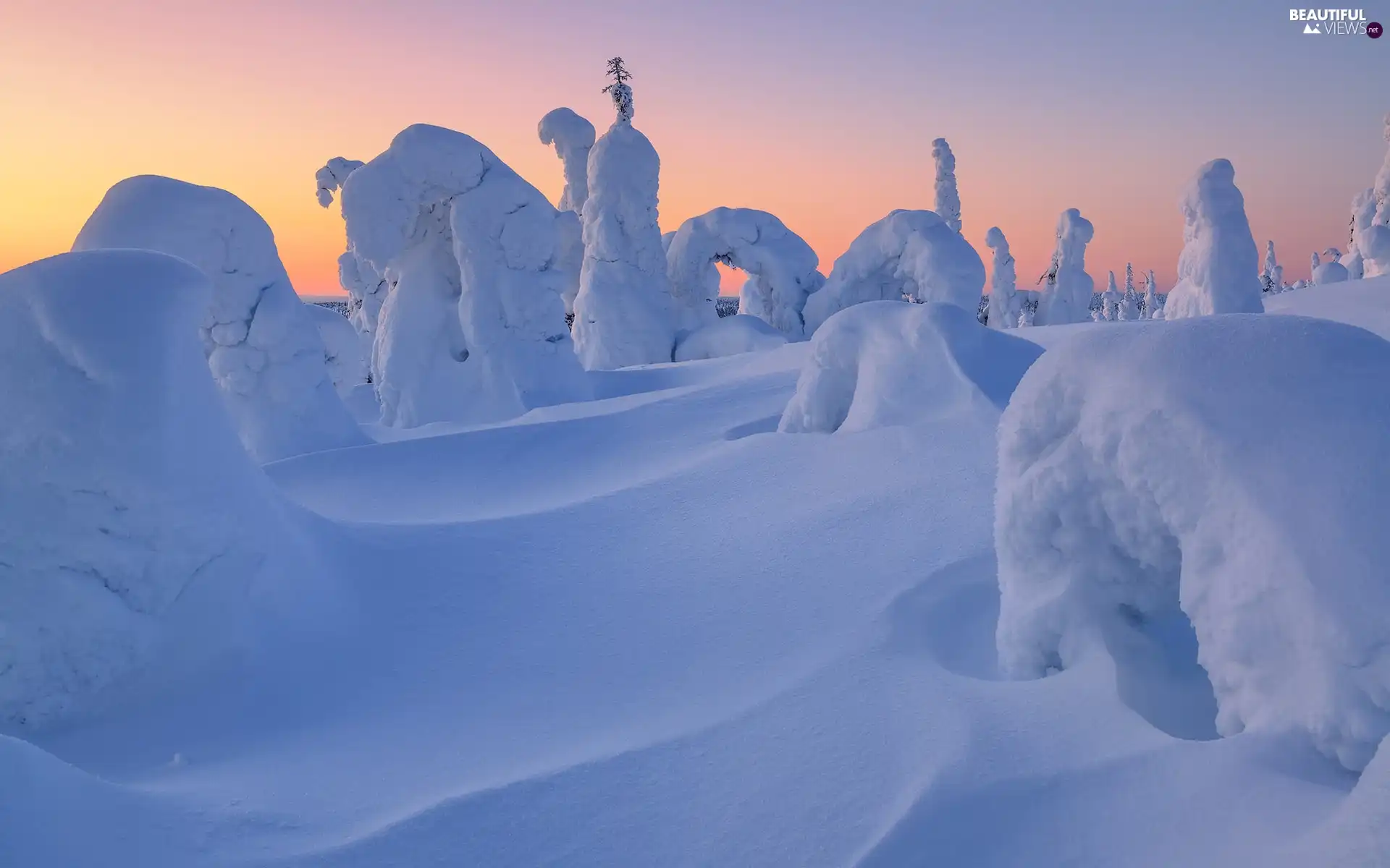 drifts, winter, viewes, Snowy, trees, snow