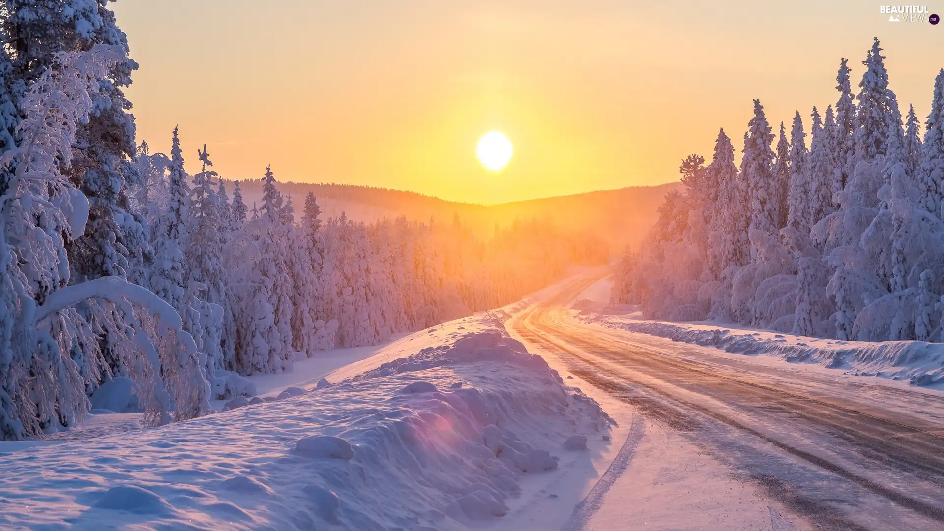 trees, Way, Sunrise, Snowy, winter, viewes, Fog