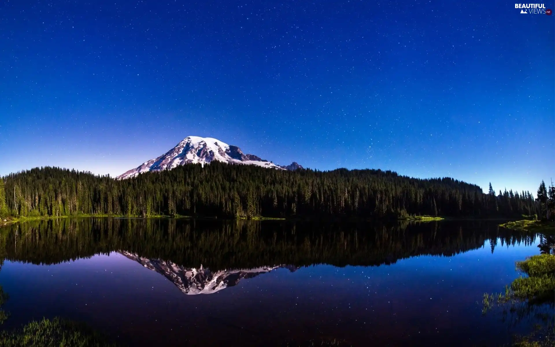 Starry, reflection, woods, lake, Mountains