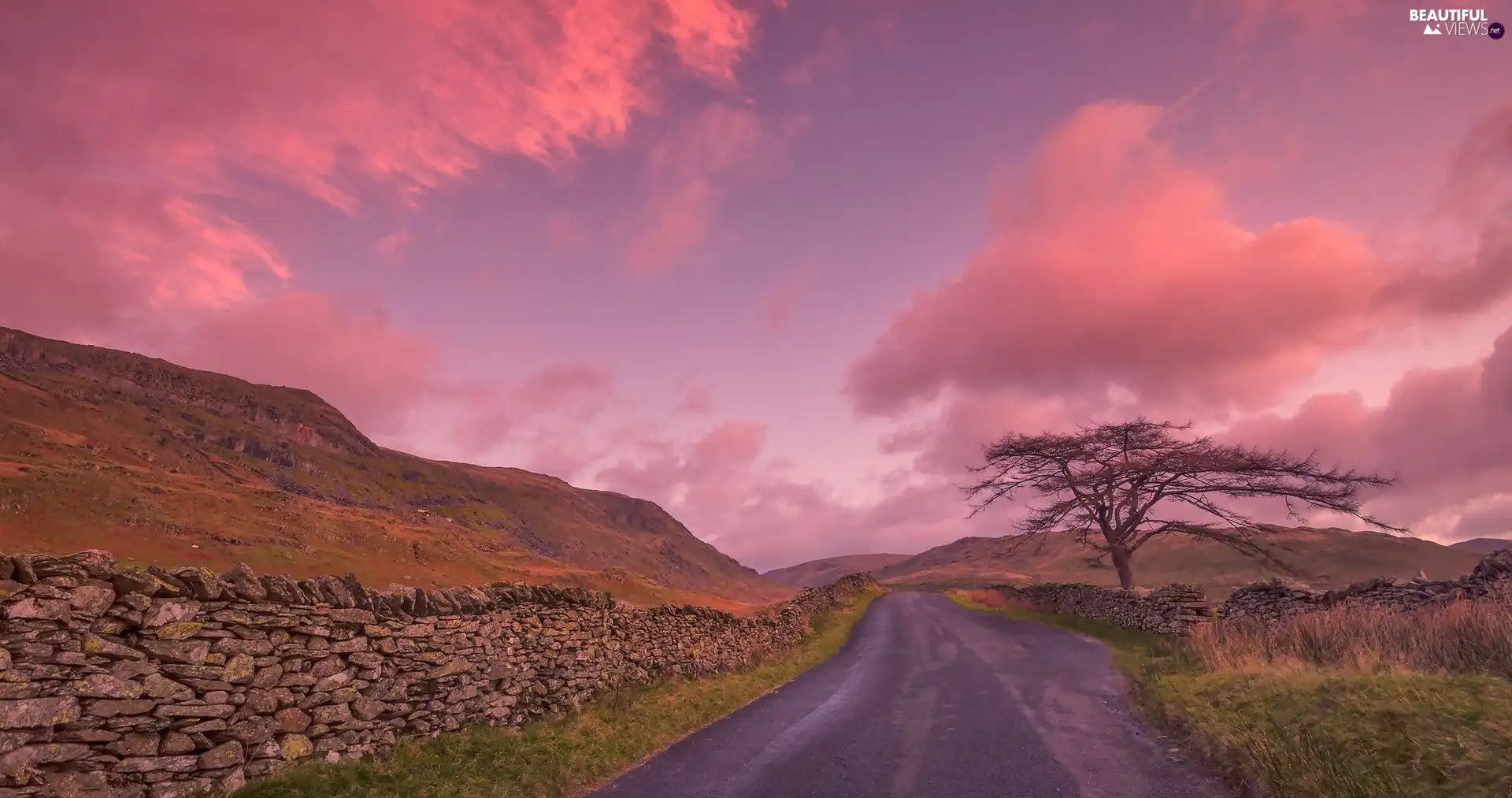 Ambleside Town, Kirkstone Pass, ledge, Way, stone, Lake District, England, trees