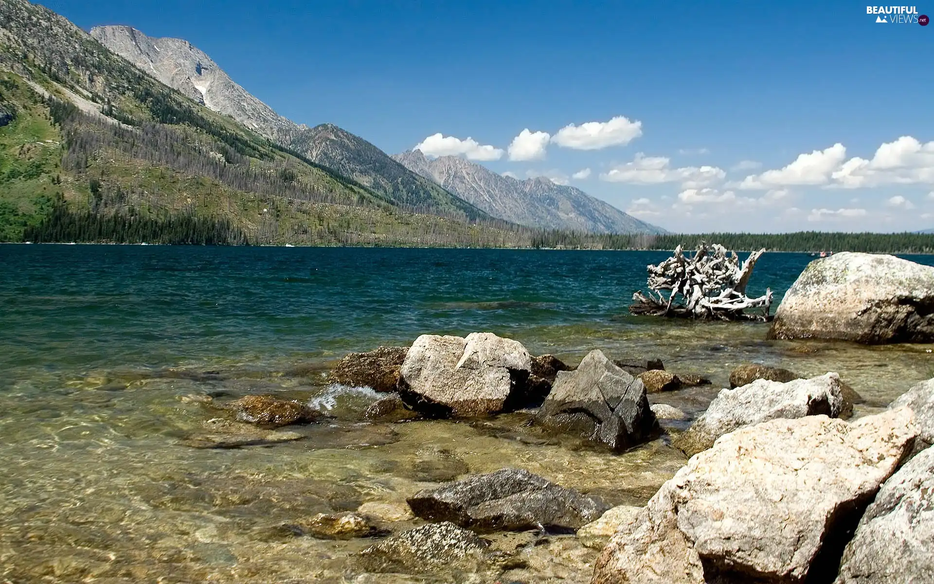 Lod on the beach, lake, viewes, The Hills, trees, Stones