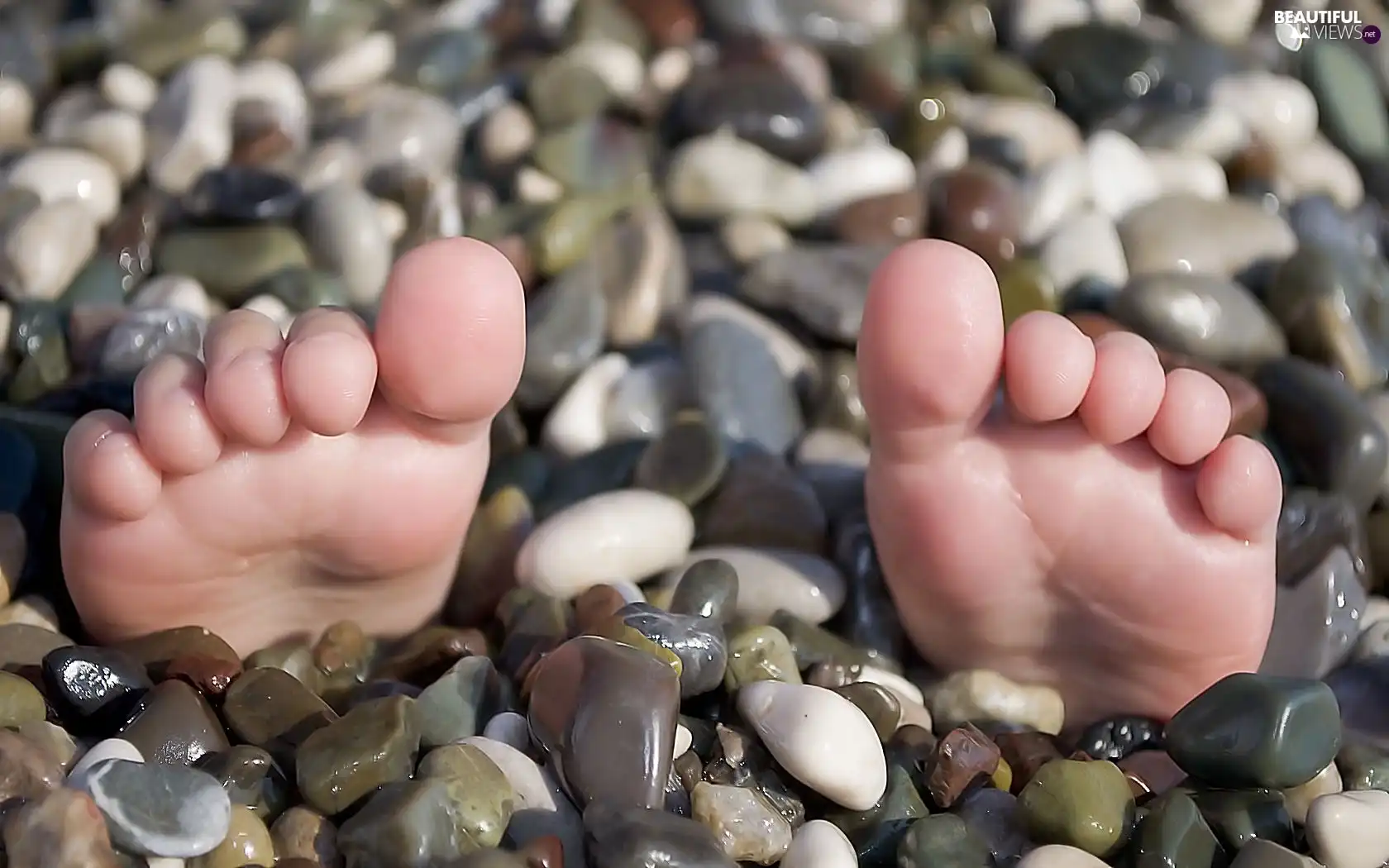 Foot, Stones