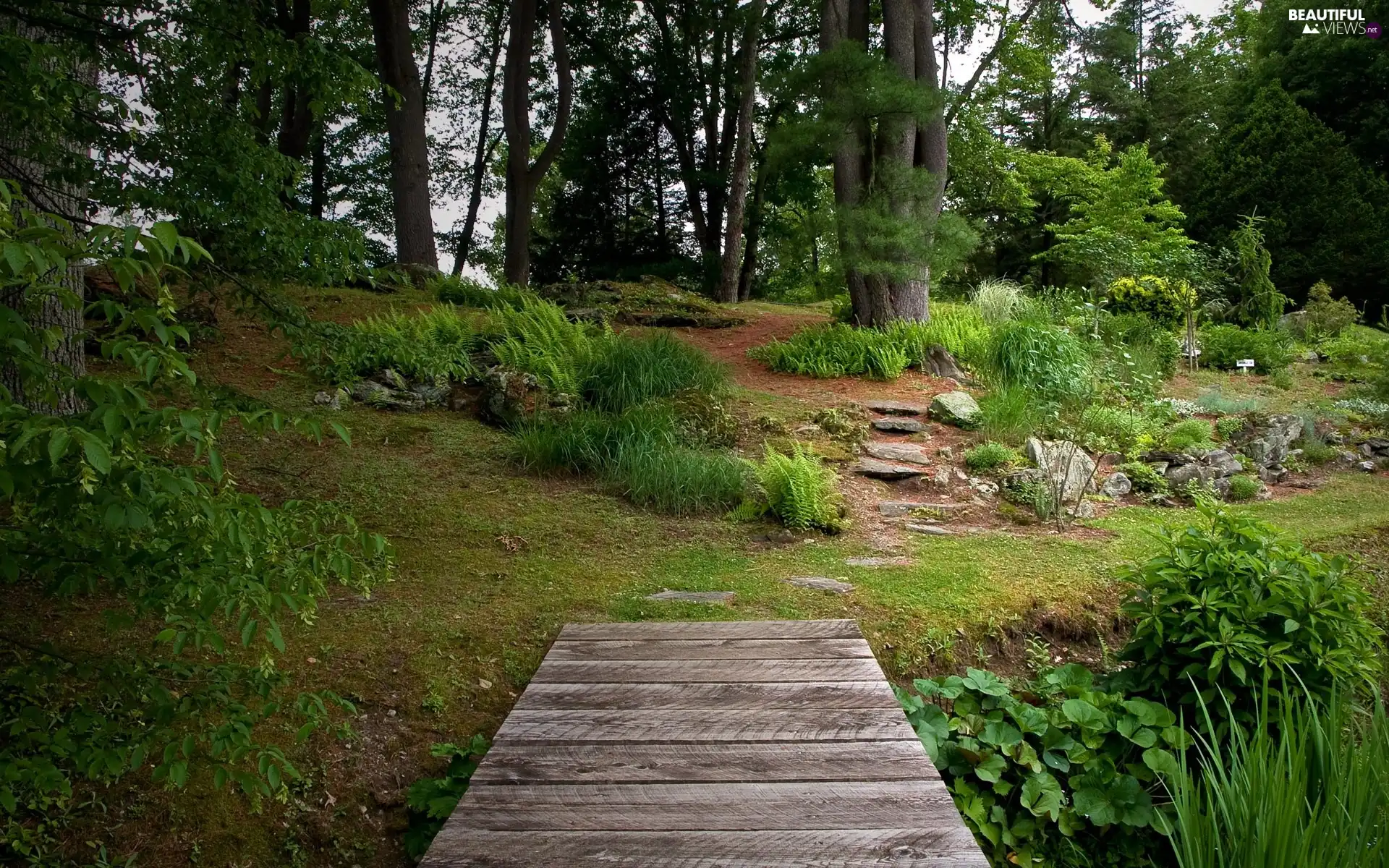 Stones, footbridge, viewes, VEGETATION, trees