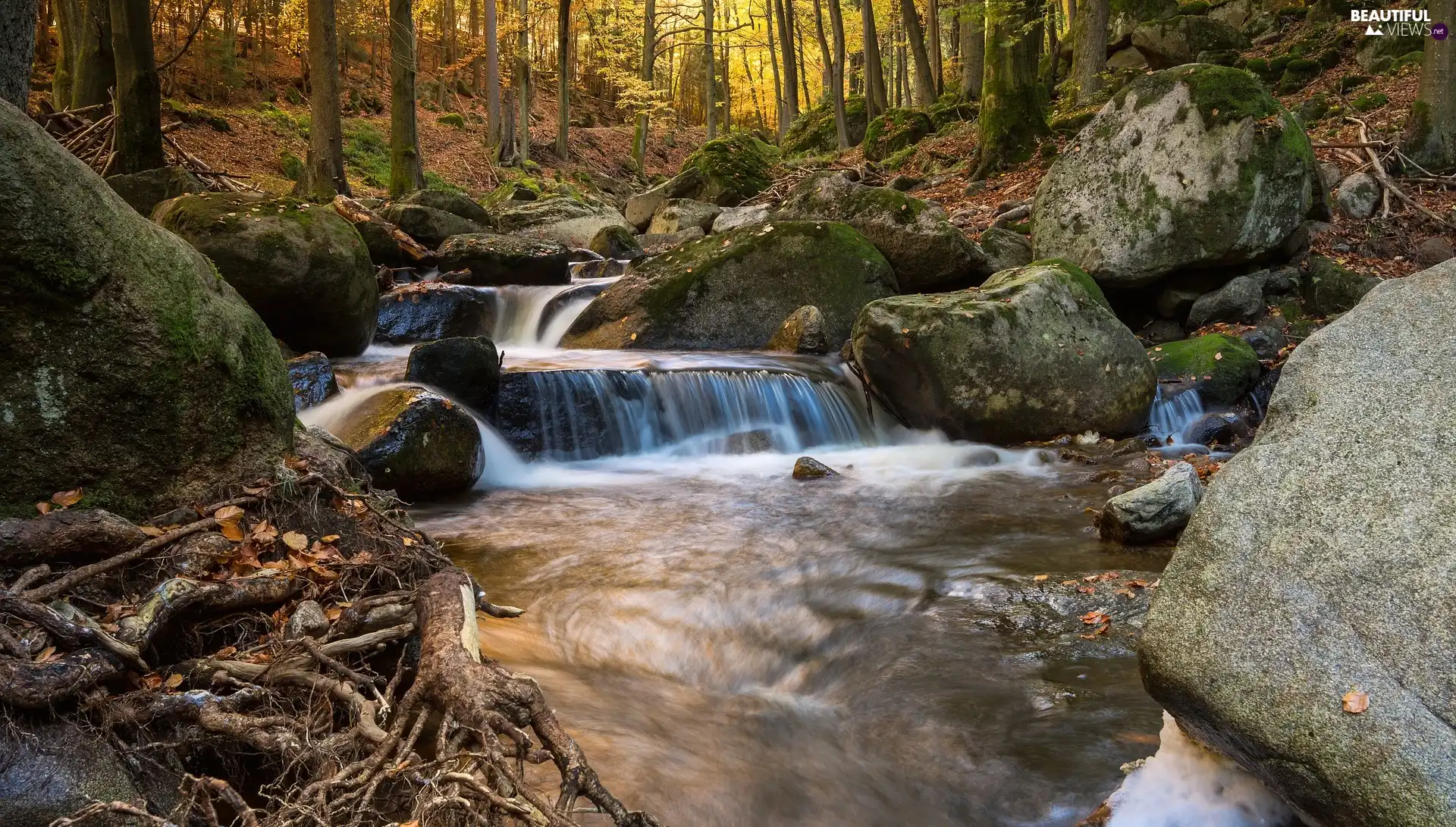 Saxony-Anhalt, Germany, Harz District, Ilse River, trees, viewes, Stones, forest, autumn