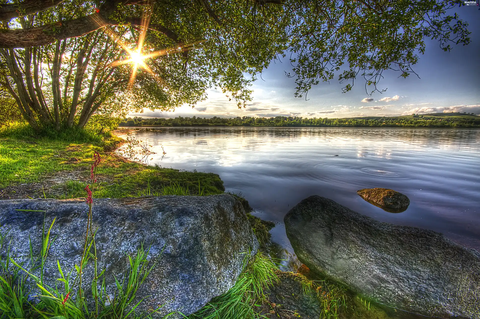 Stones, rays, lake