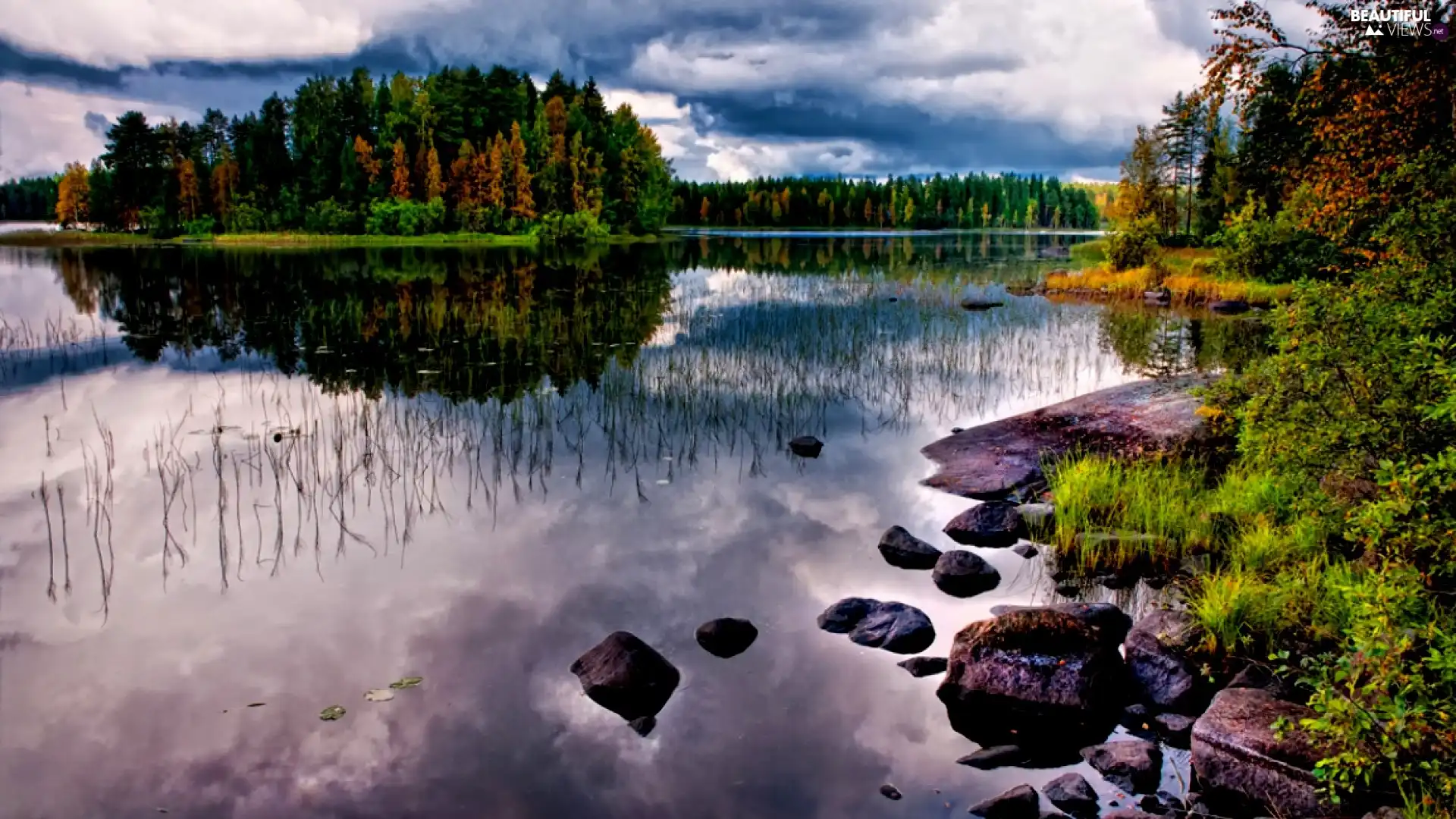 Stones, woods, lake