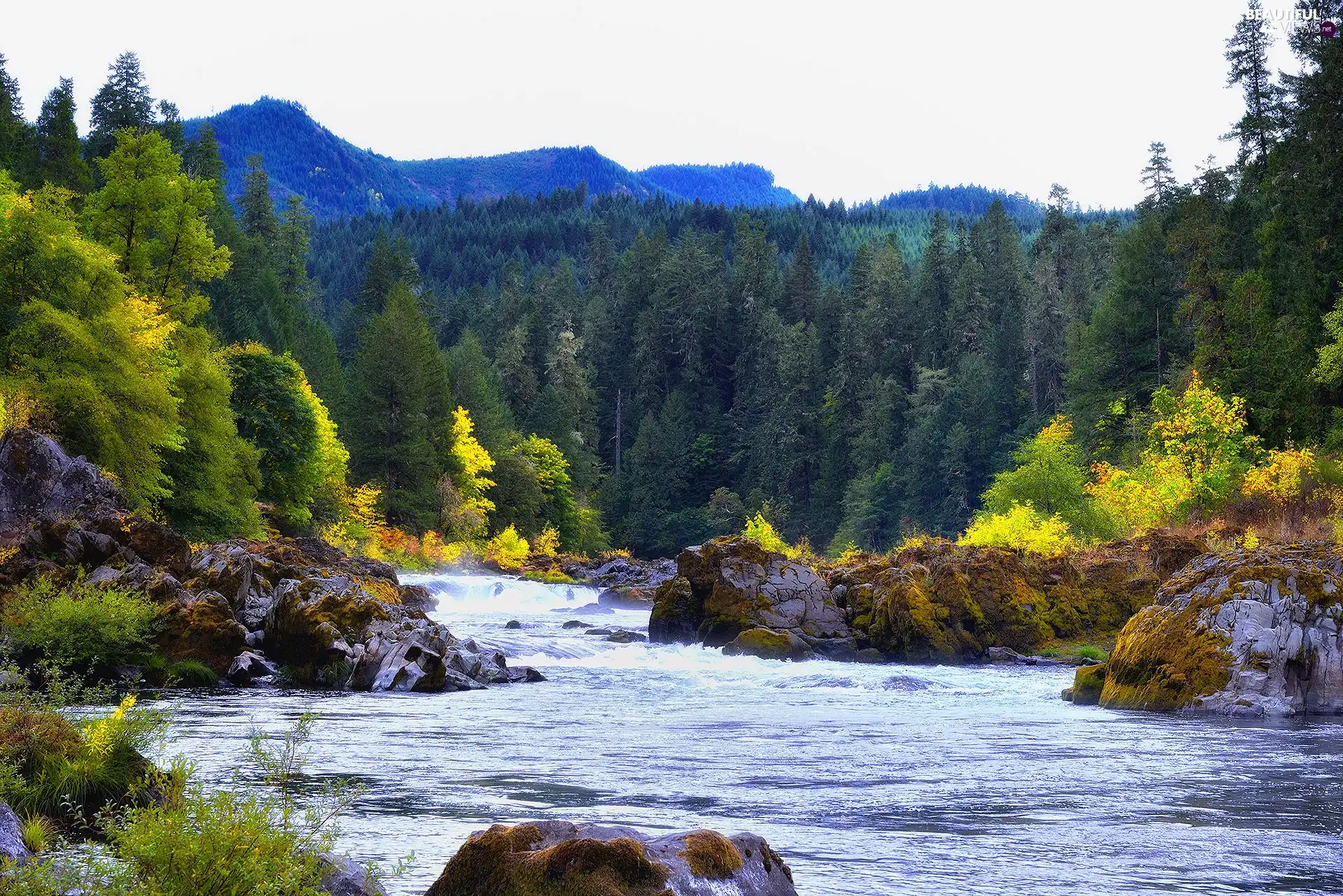 Stones rocks, rocks, woods, River, Mountains