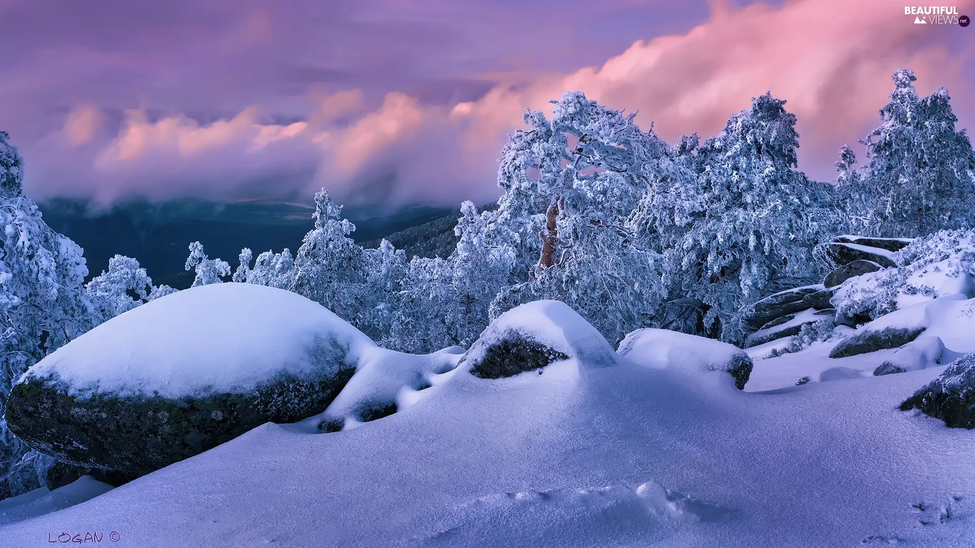 trees, winter, rocks, Stones, viewes, Snowy