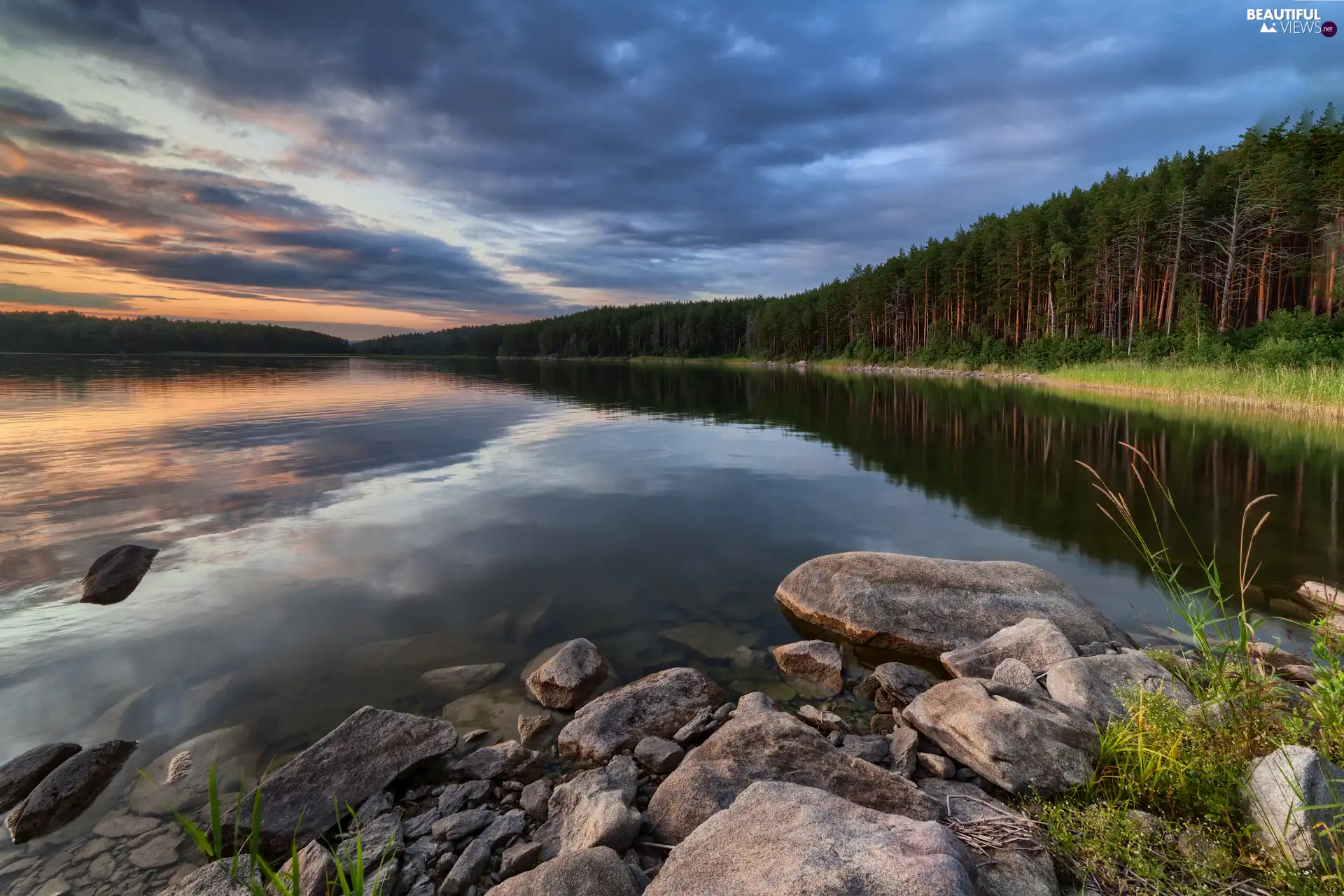 woods, coast, trees, Stones, lake, high, viewes