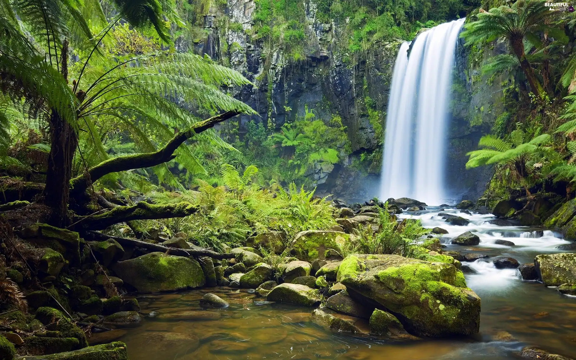 waterfall, viewes, Stones, trees