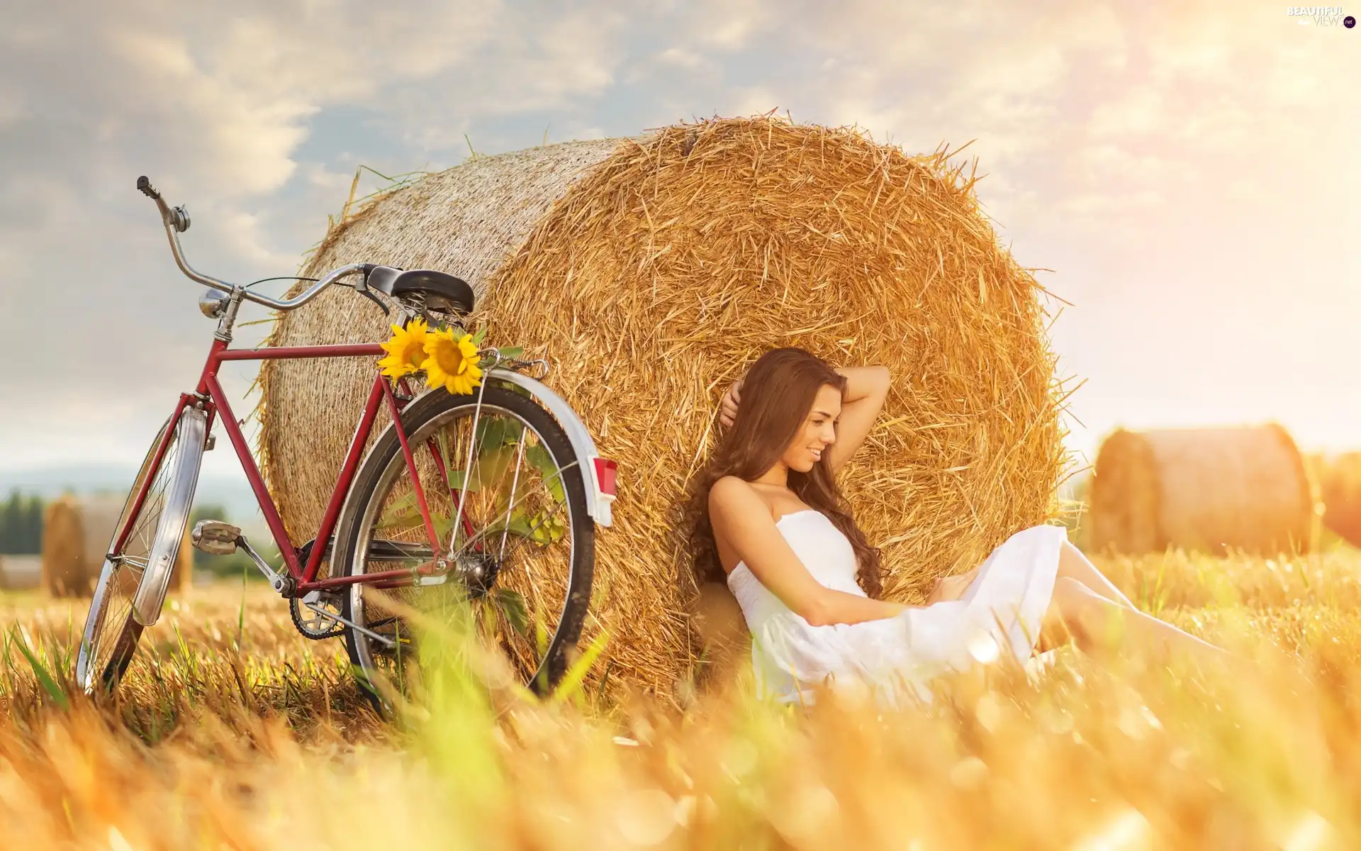 summer, Women, Straw, Field