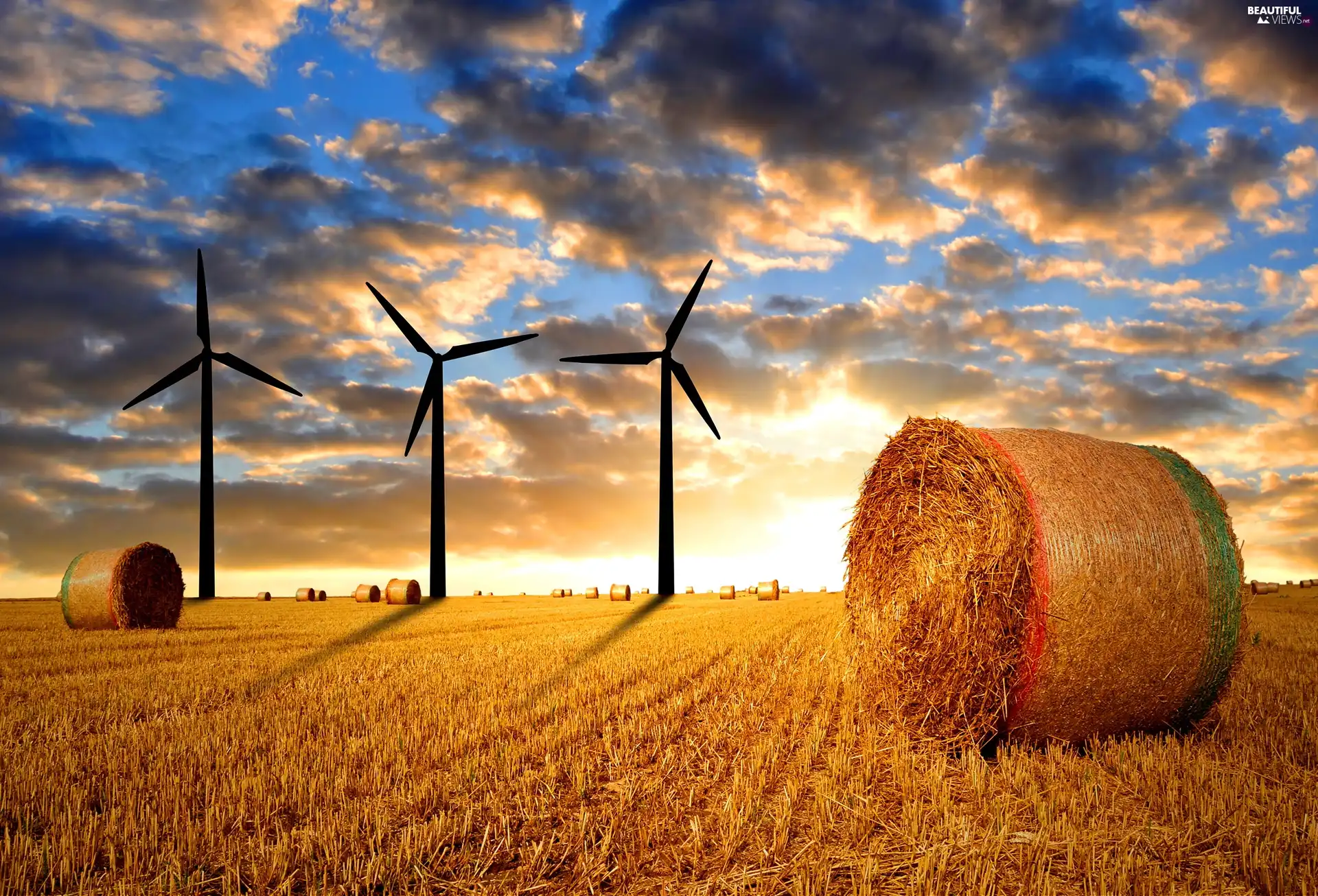 west, field, straw, sun