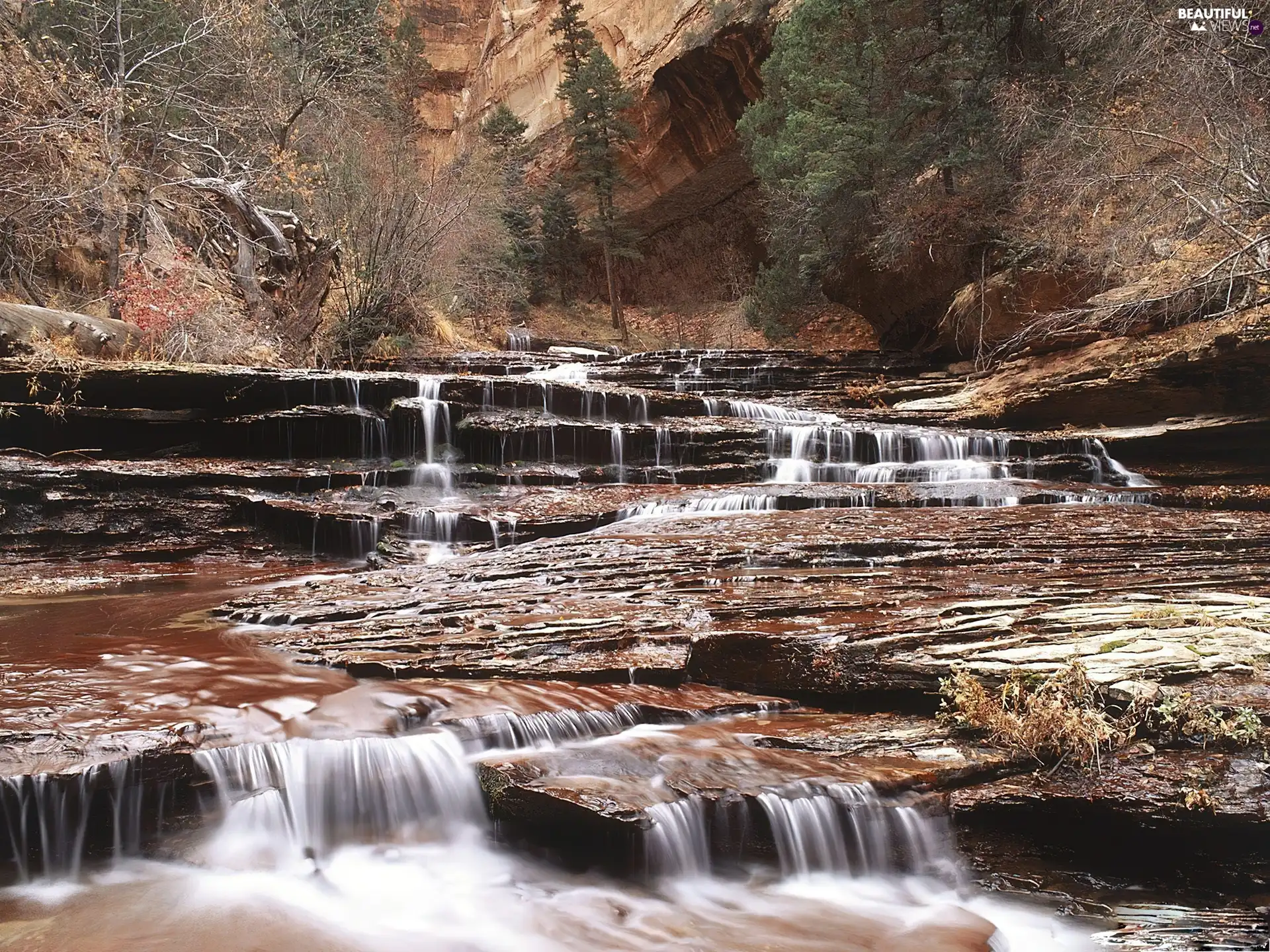 rocks, stream