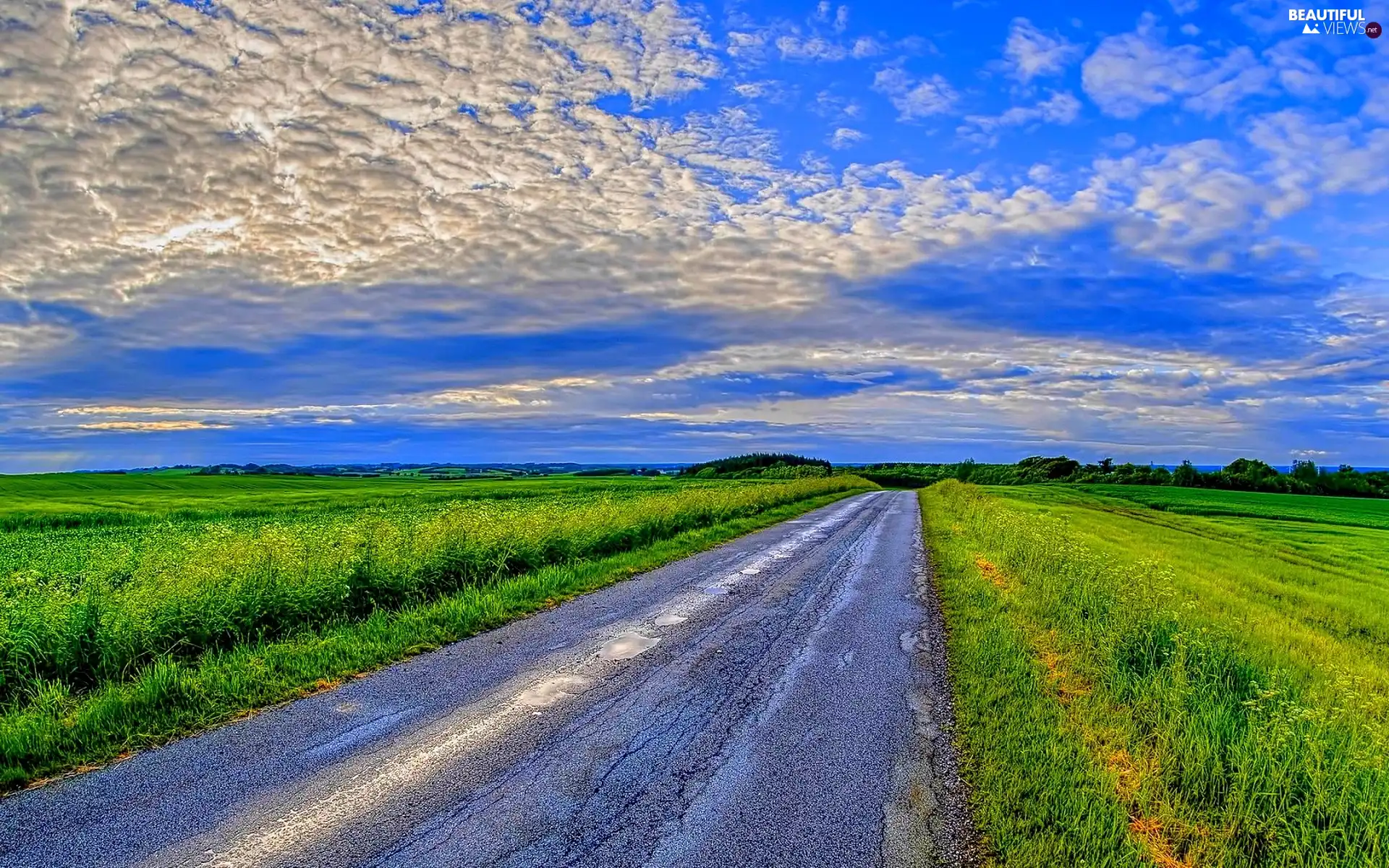 clouds, field, summer, Way