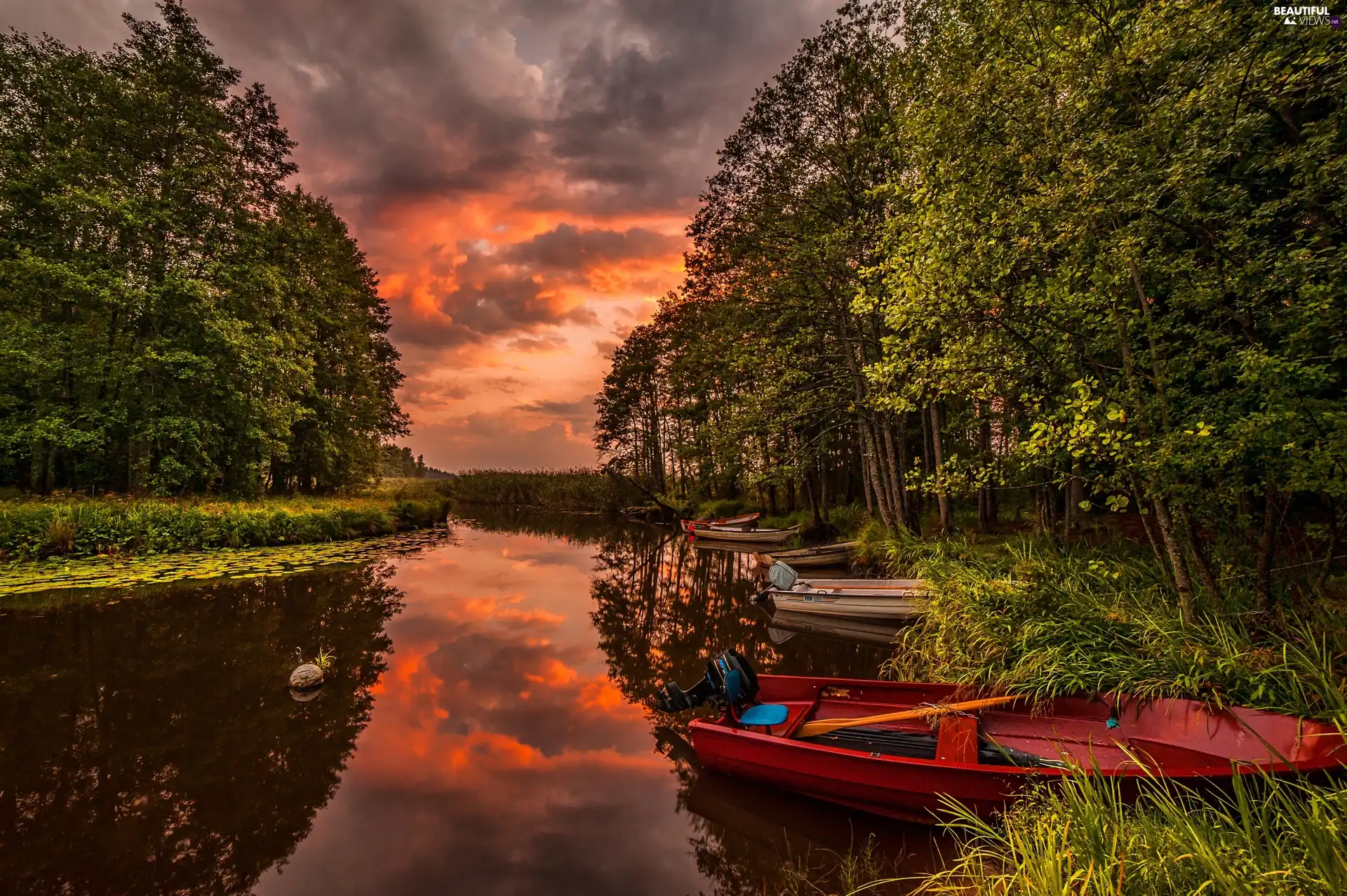 sun, boats, River, west, forest