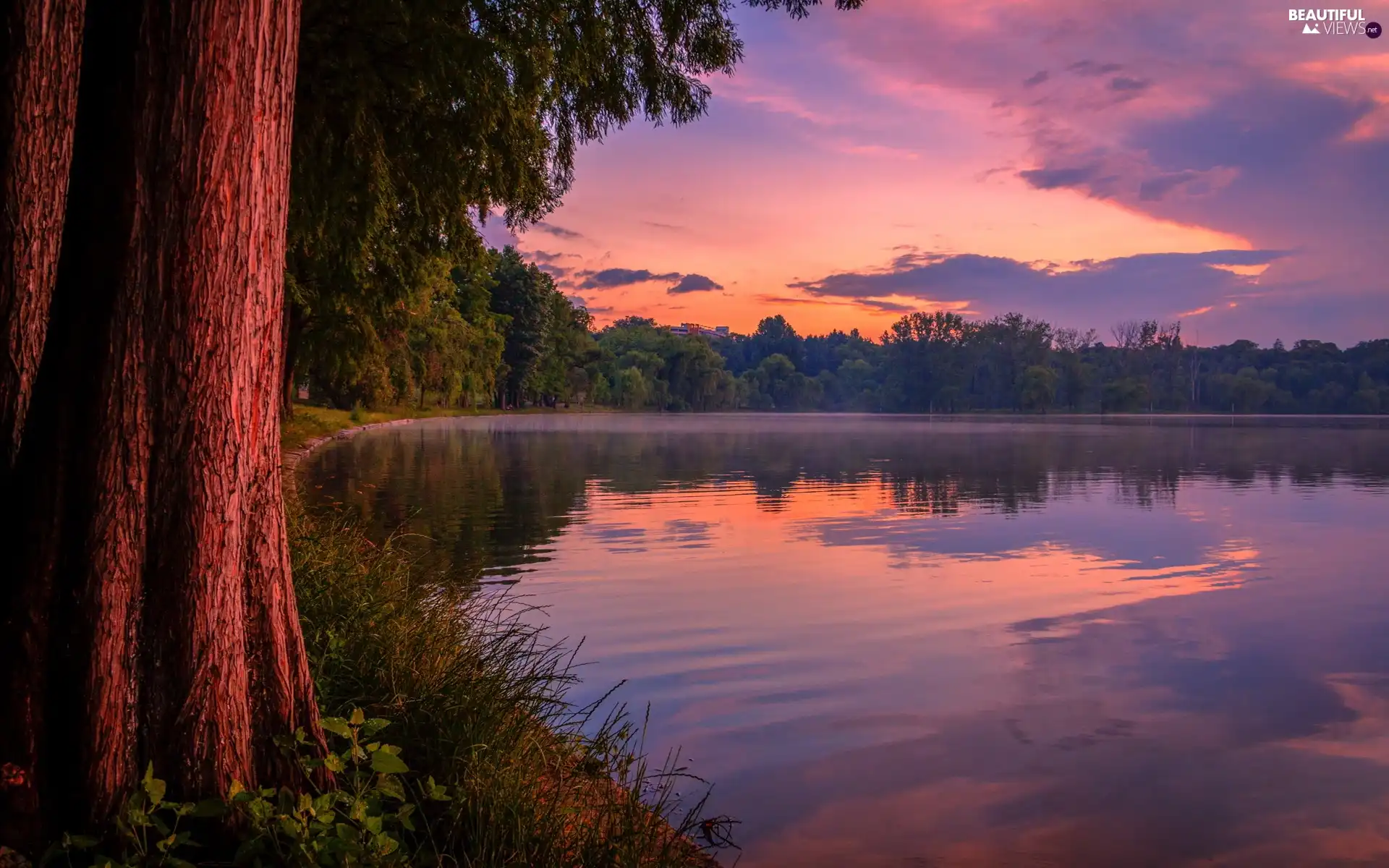 lake, west, sun, forest