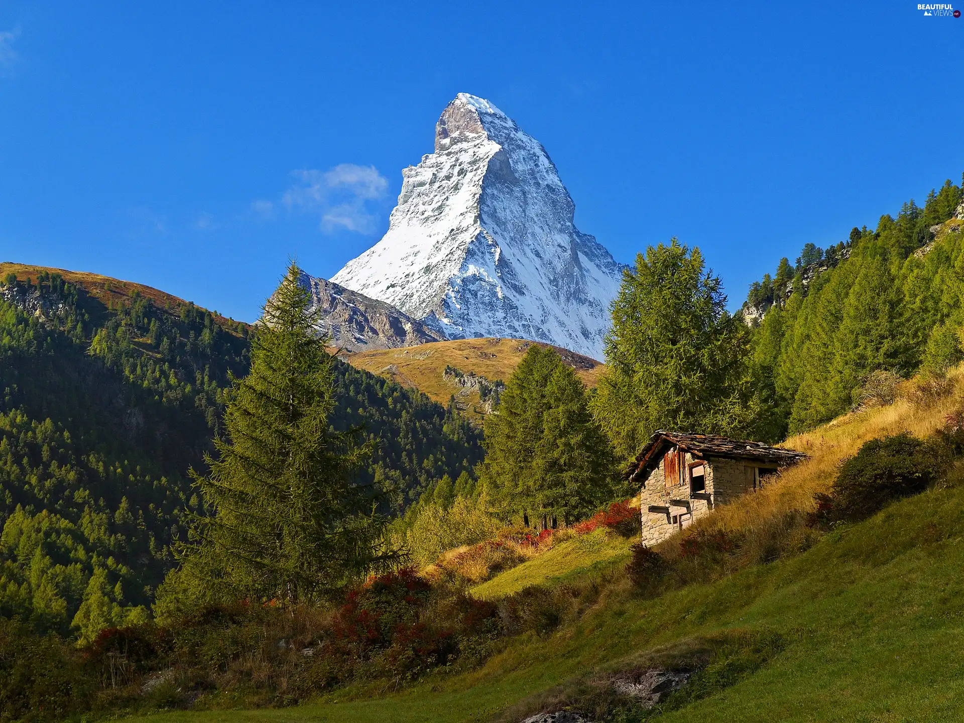 forest, Mountains, cote, Meadow, sun, shadow, luminosity, Matterhorn, mount, flash, ligh