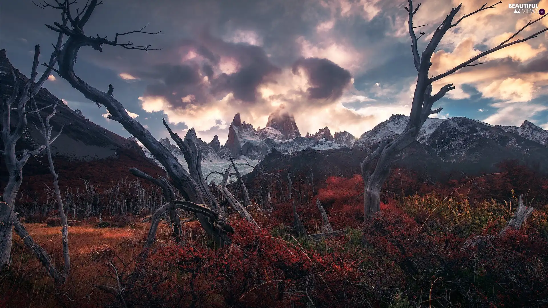 rays of the Sun, branch pics, clouds, Los Glaciares National Park, Fitz Roy, Patagonia, viewes, autumn, Argentina, trees, mountains, Andes Mountains