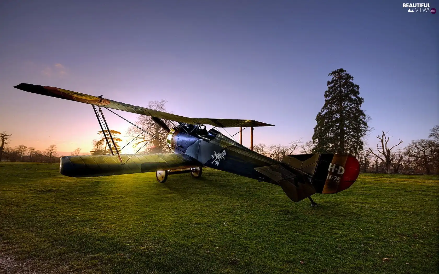 sun, plane, rays