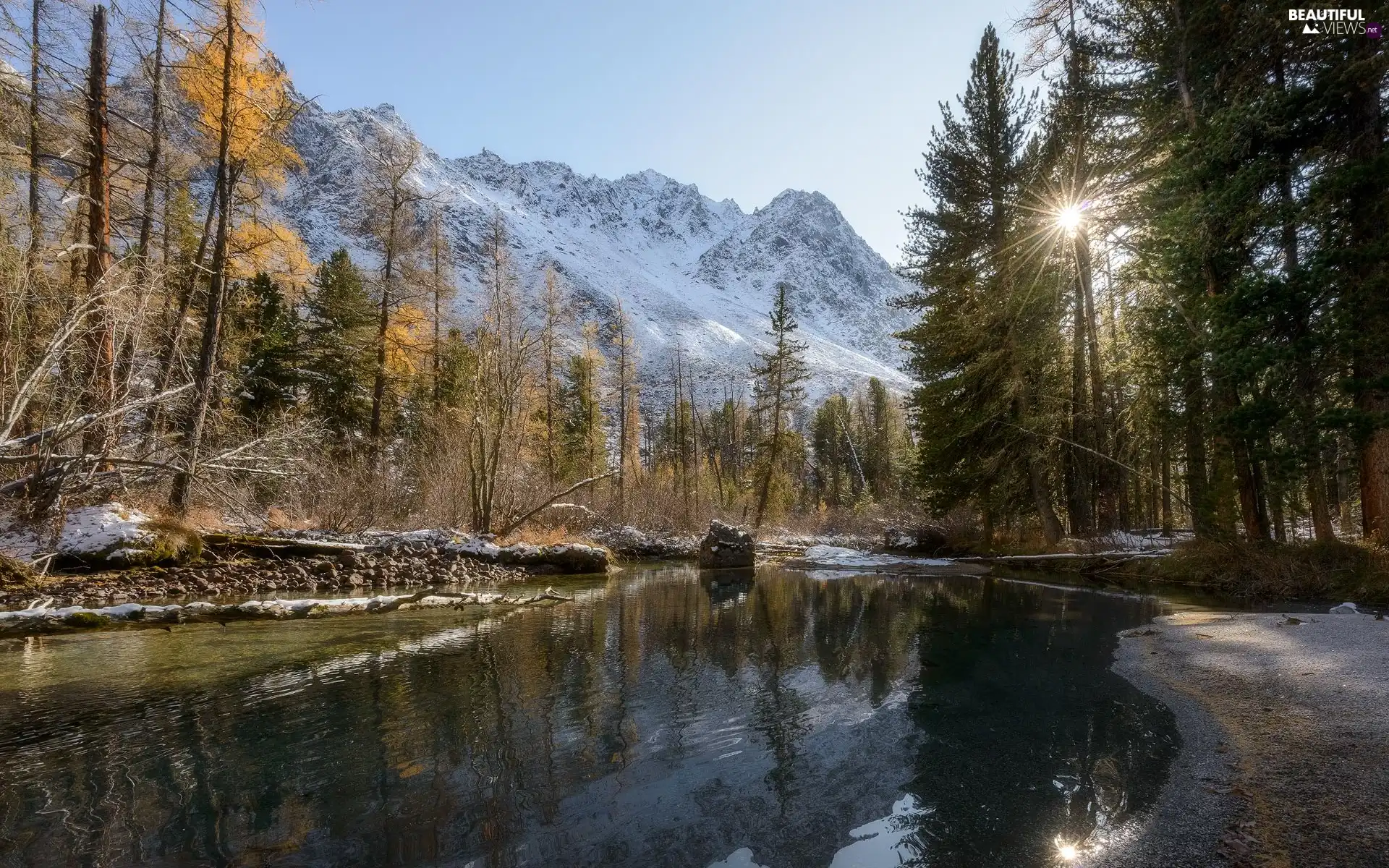 trees, Mountains, Spruces, sun, viewes, River