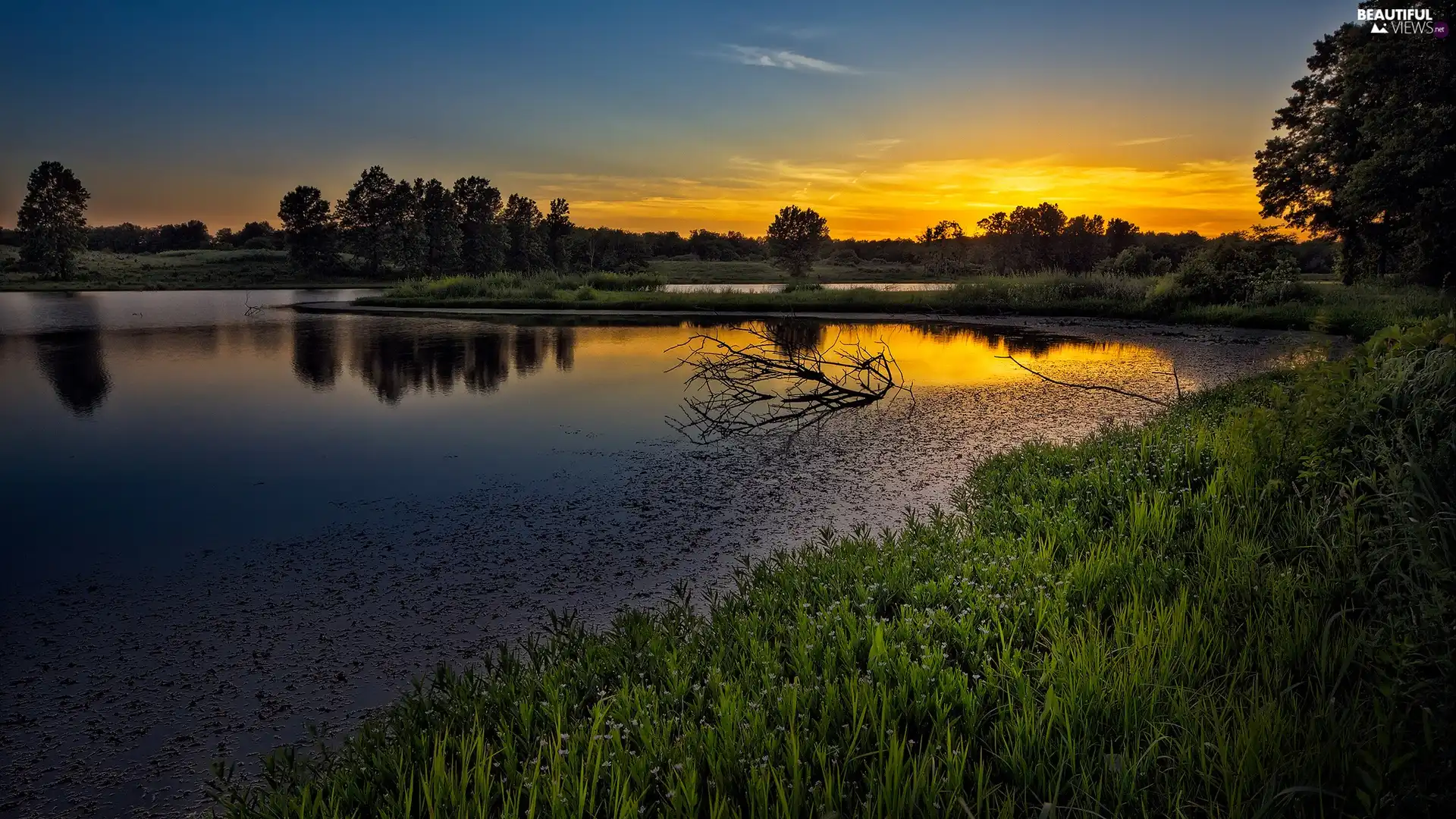 River, west, sun, woods