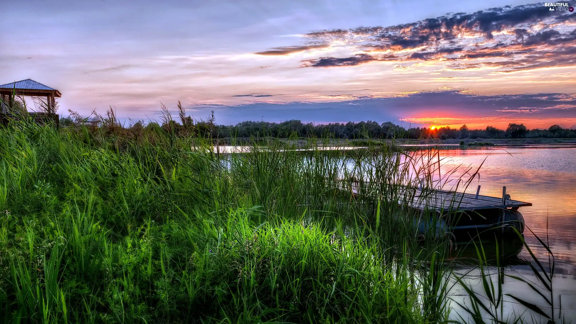 rushes, west, sun, lake