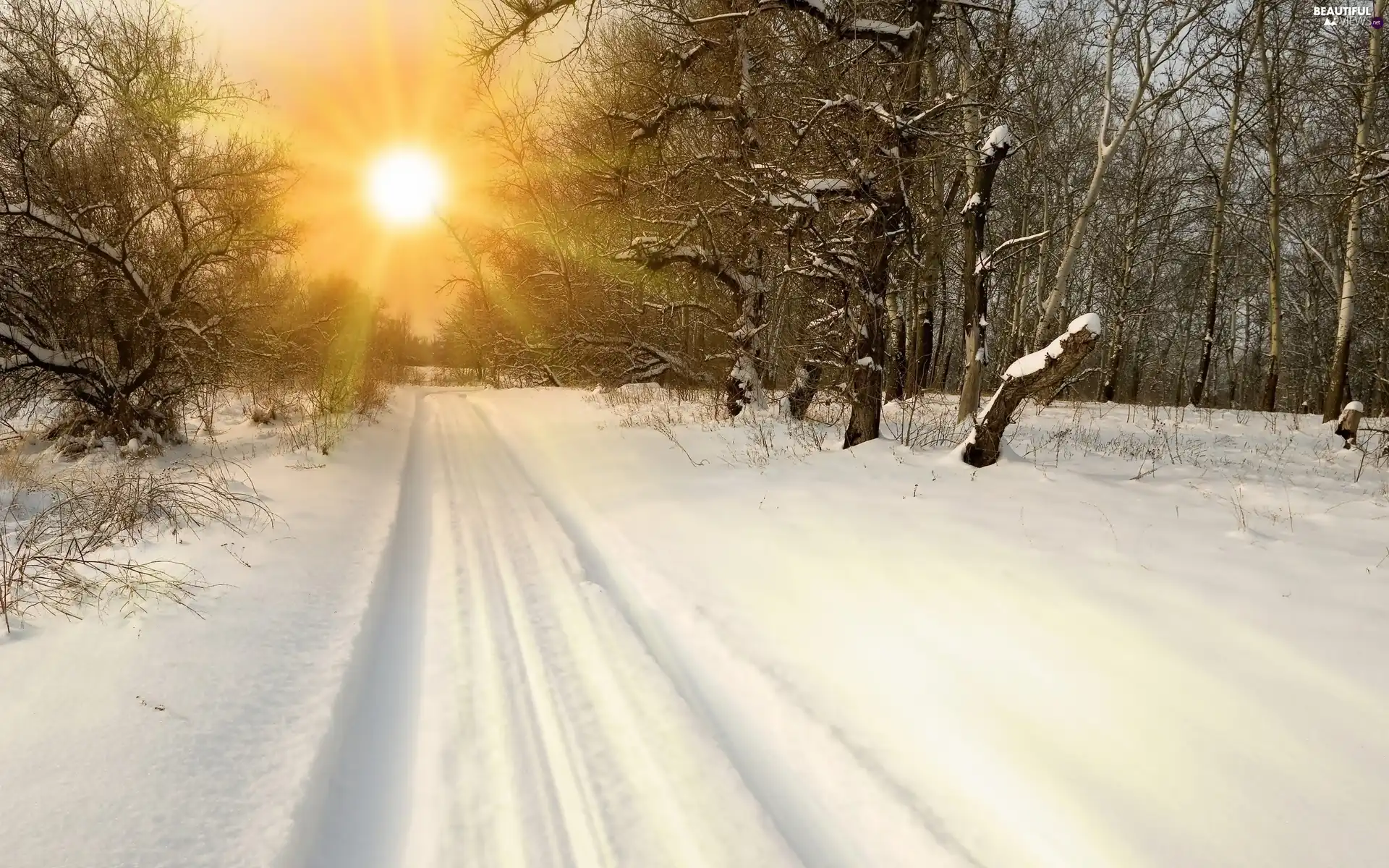 snowy, rays, sun, Way