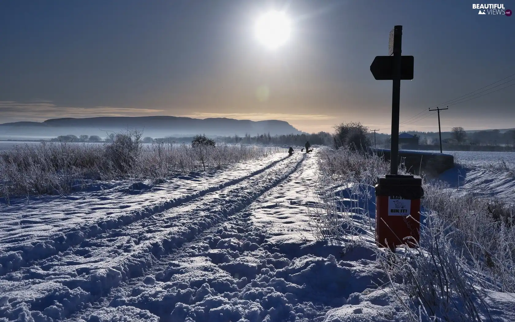 Way, Bush, sun, snow