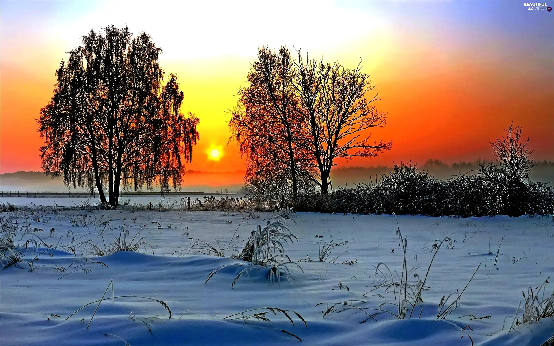 viewes, medows, sun, winter, rays, trees