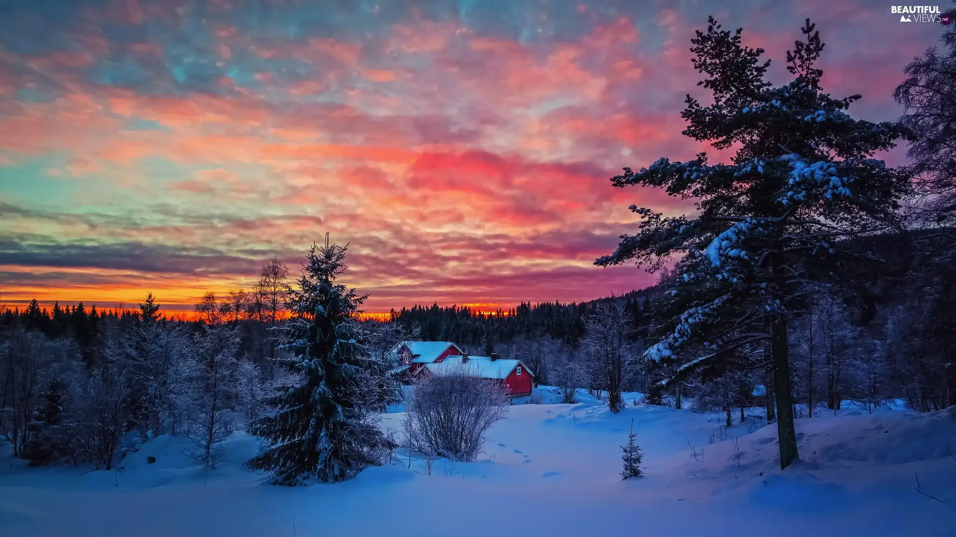 buildings, Mountains, sun, winter, west, woods