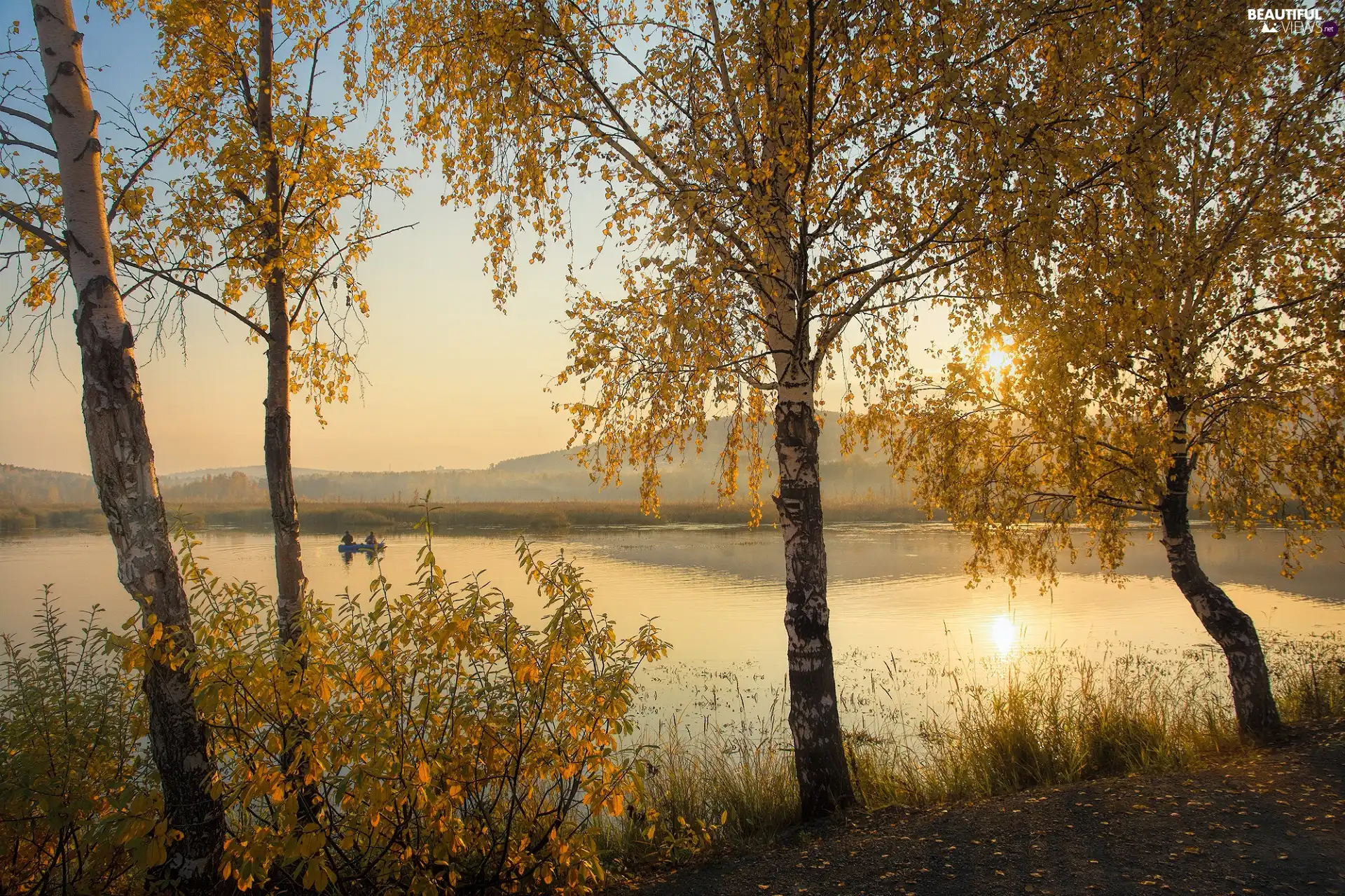 Boat, autumn, birch, Sunrise, Fishermen, lake