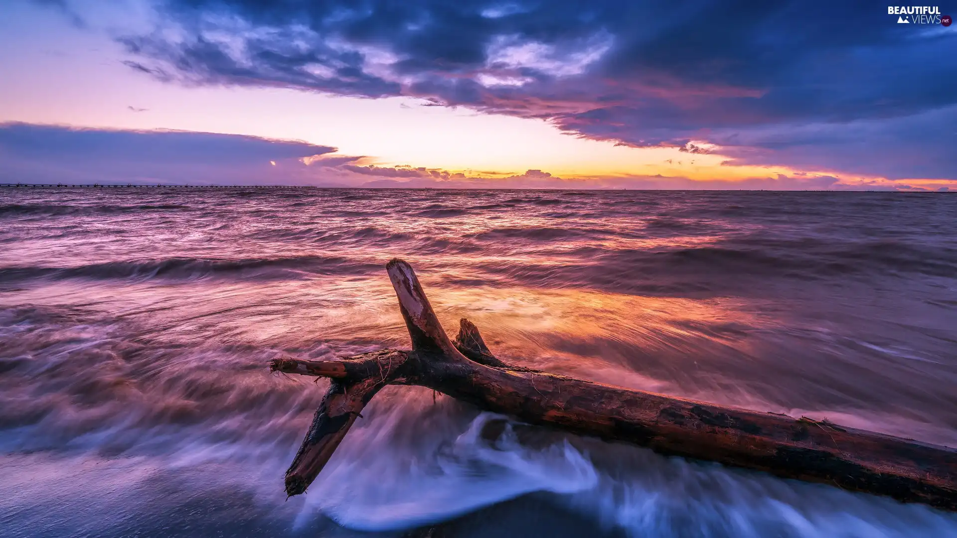 trees, viewes, sea, Lod on the beach, Sunrise