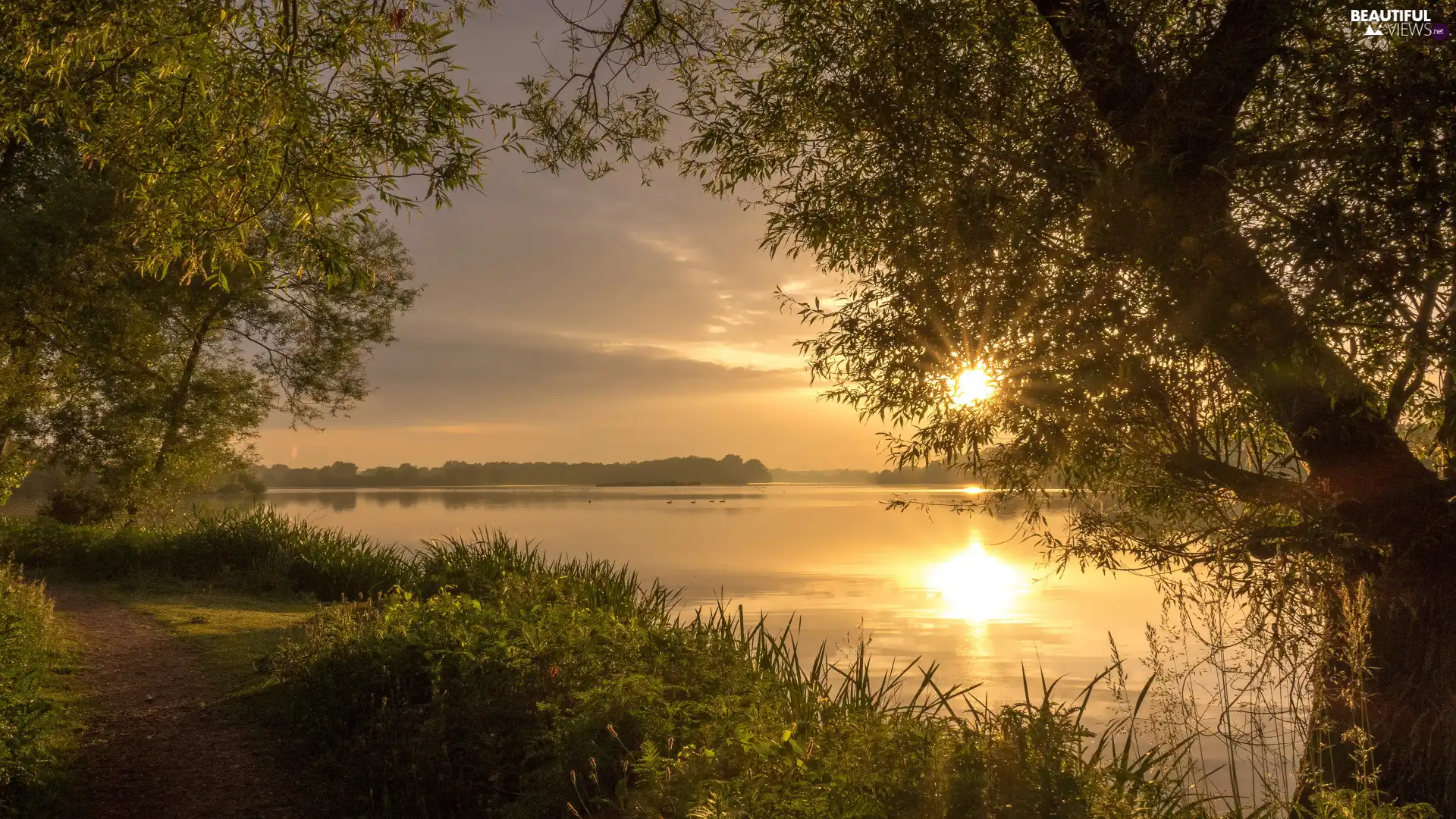 viewes, lake, Path, Sunrise, coast, trees